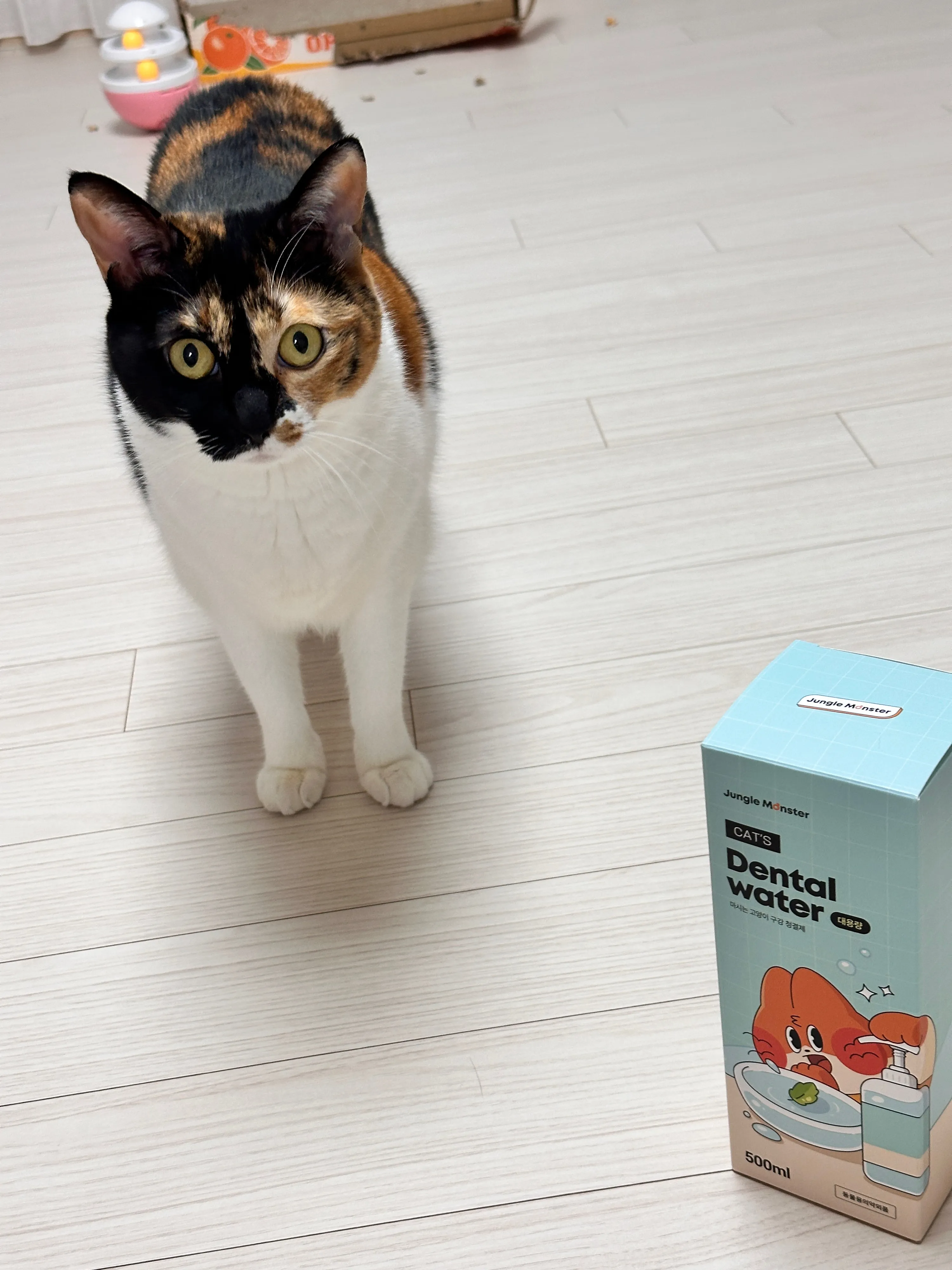 베스트 후기 이미지