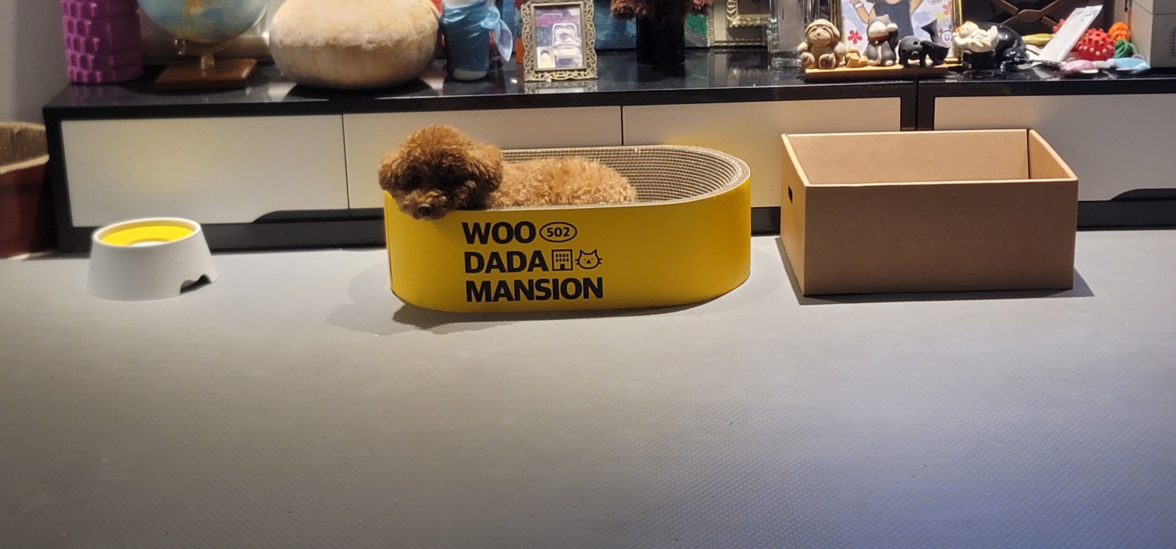 베스트 후기 이미지