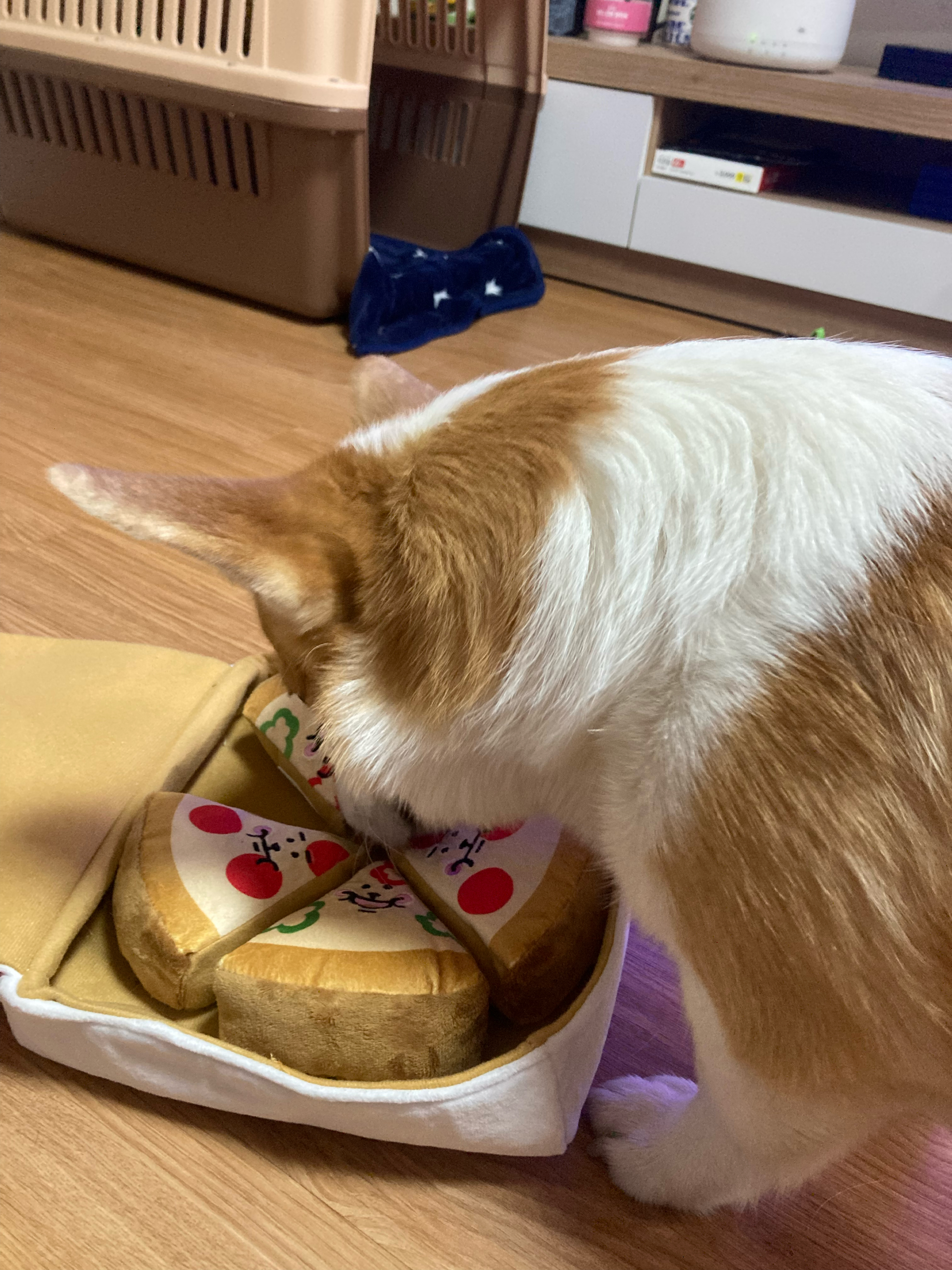 베스트 후기 이미지