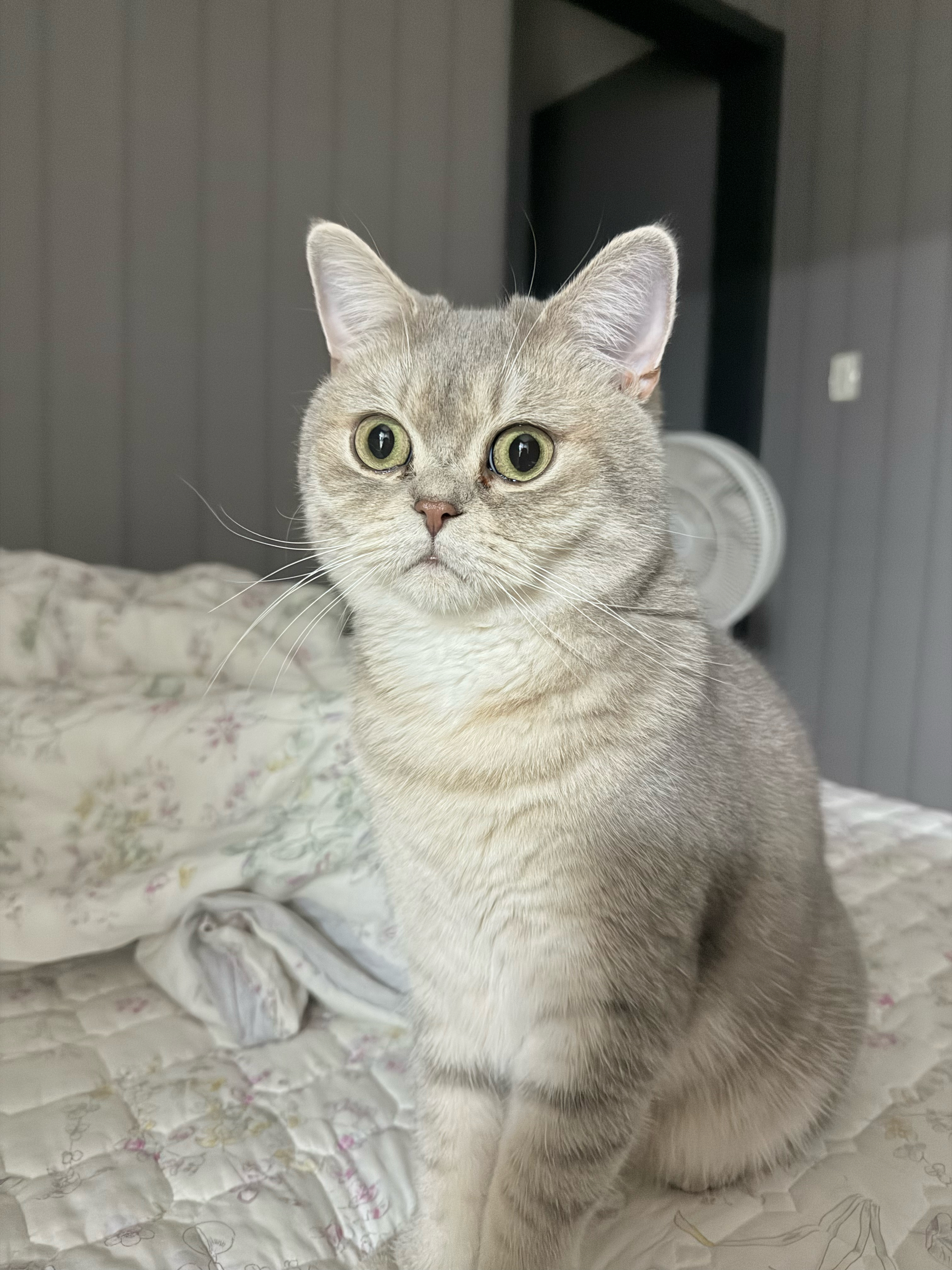 베스트 후기 이미지