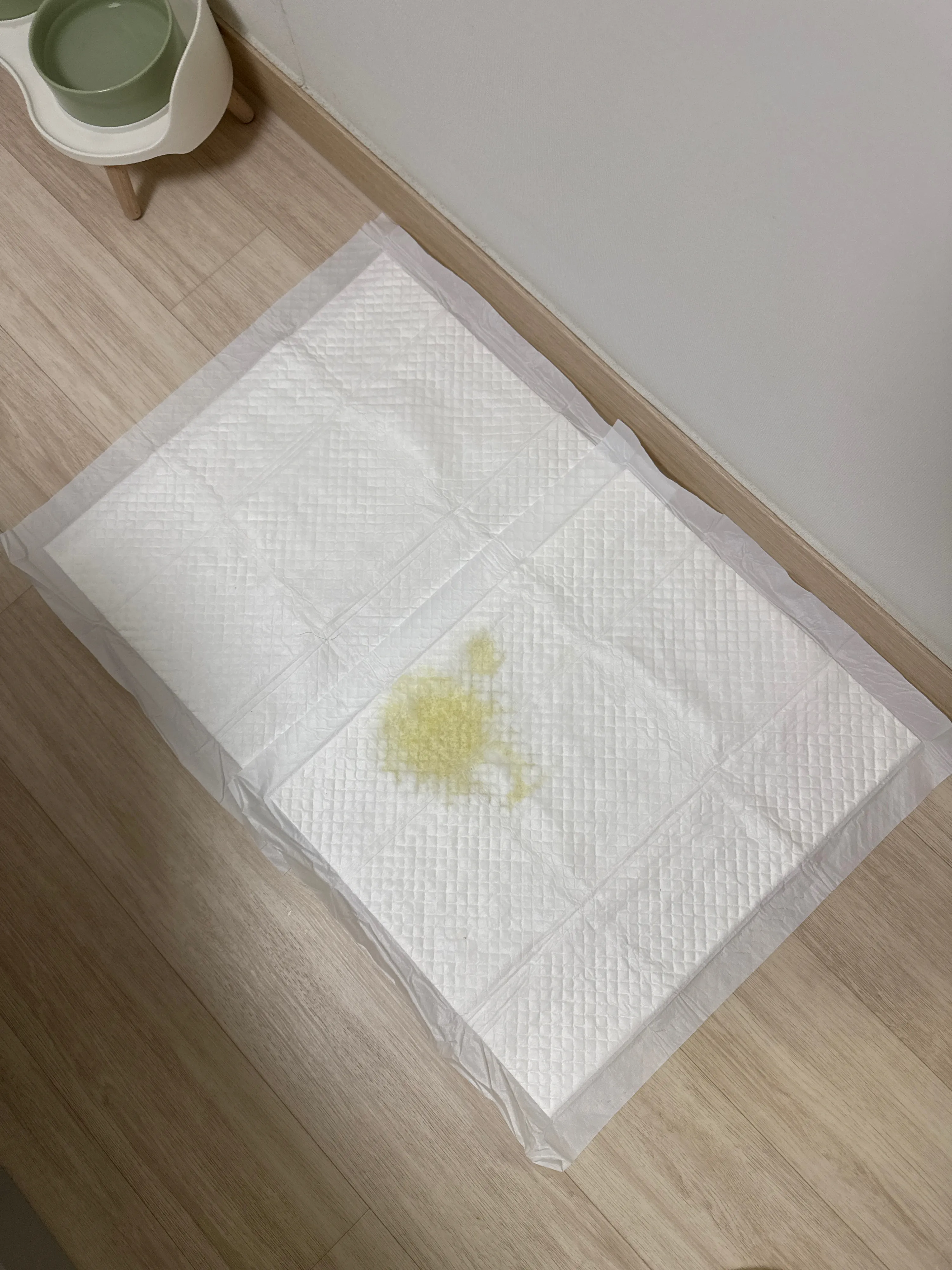 [웰컴딜] 호랑이 피톤치드 패드 중형 50매 (40x50cm) 베스트 후기 이미지