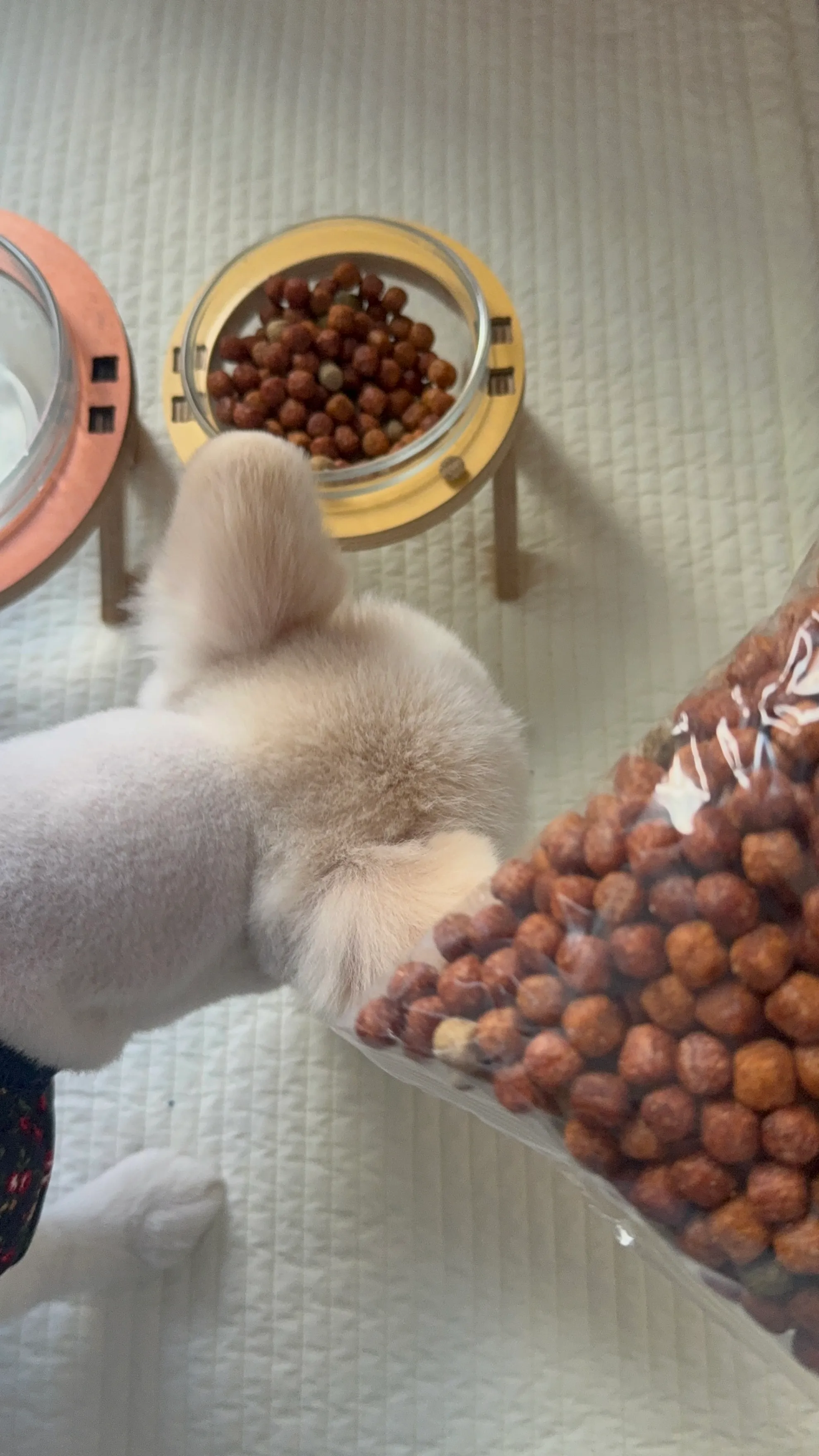 베스트 후기 이미지