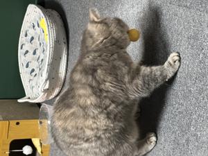 베스트 후기 이미지