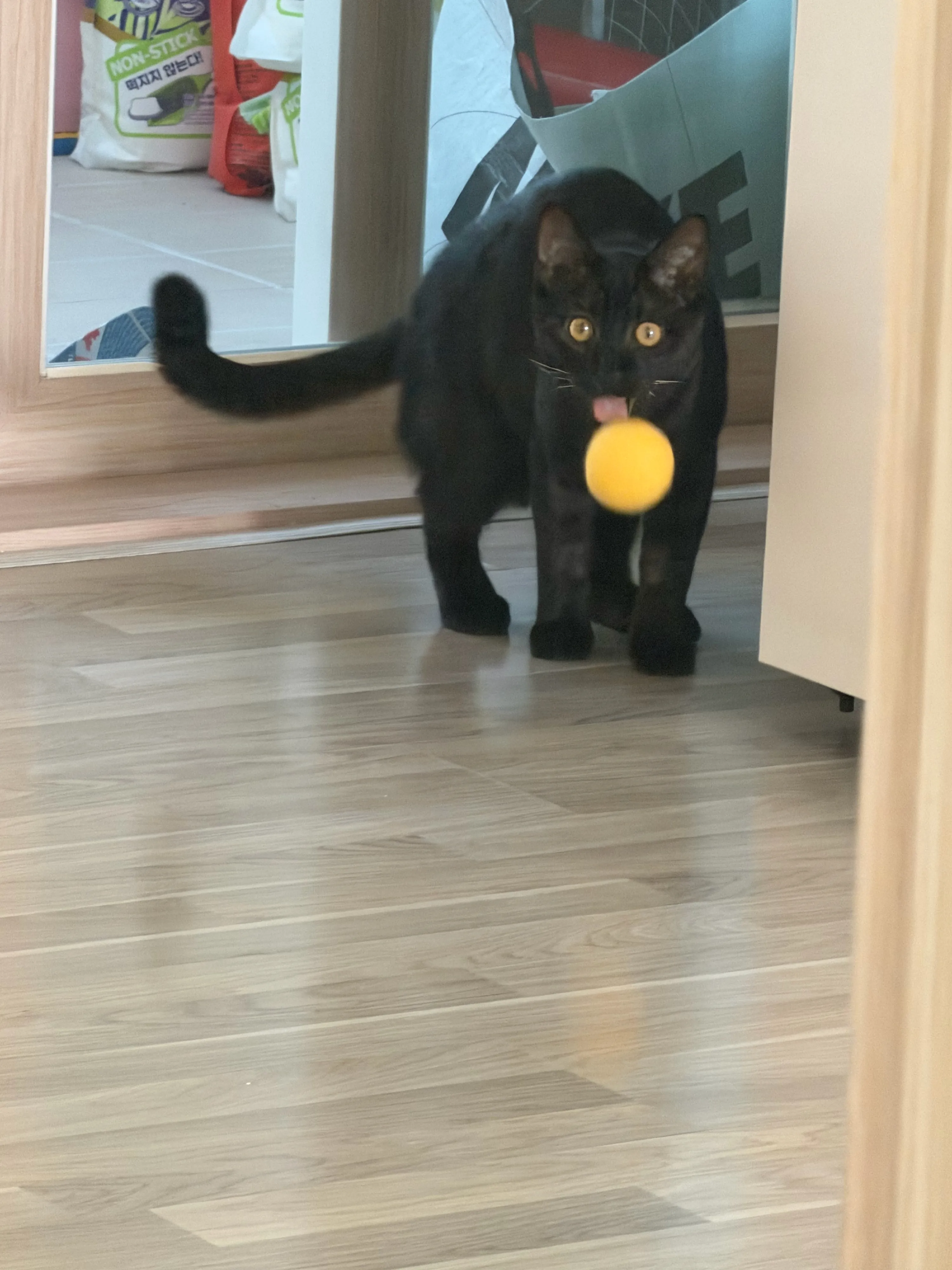 베스트 후기 이미지