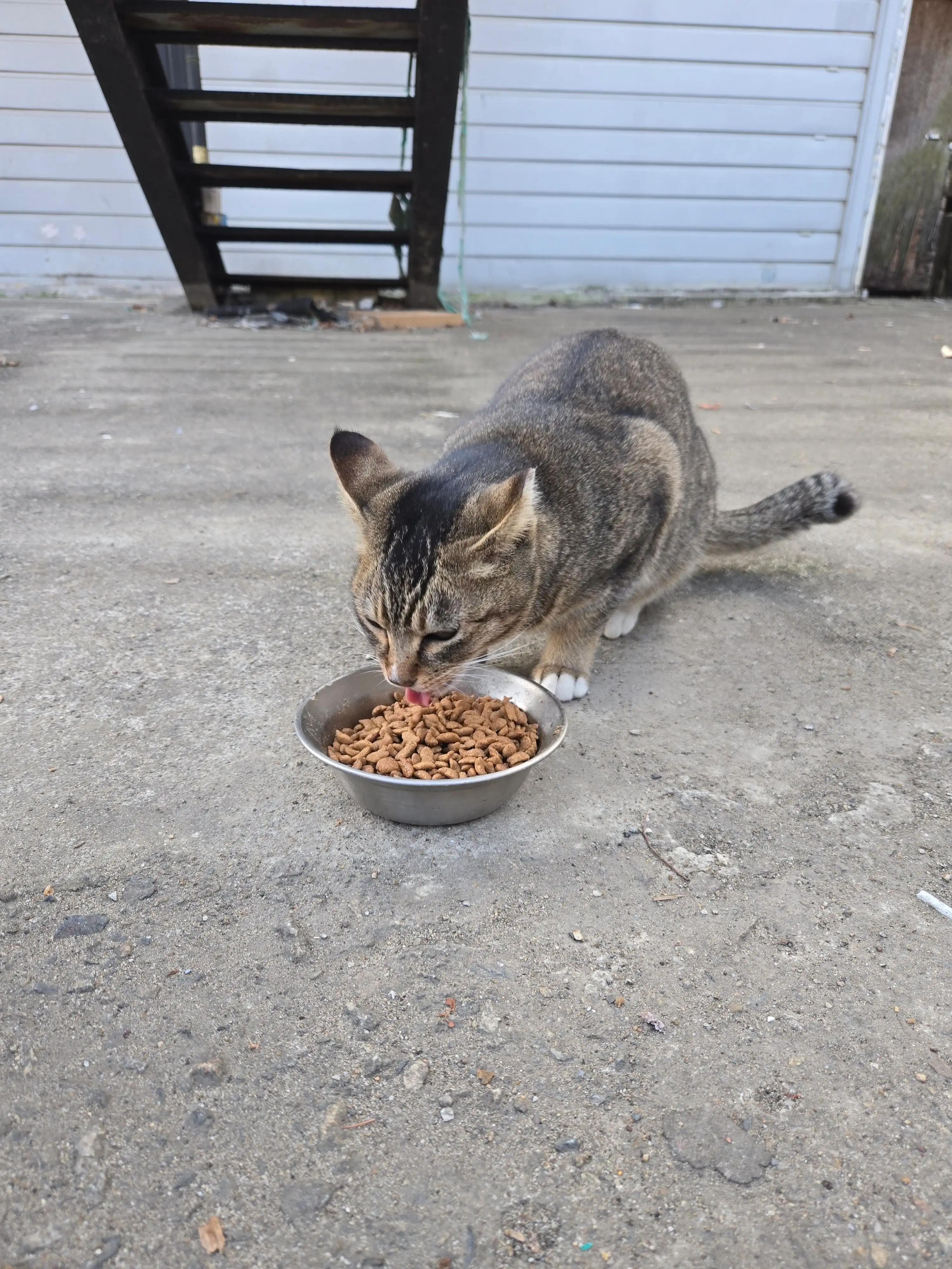 베스트 후기 이미지