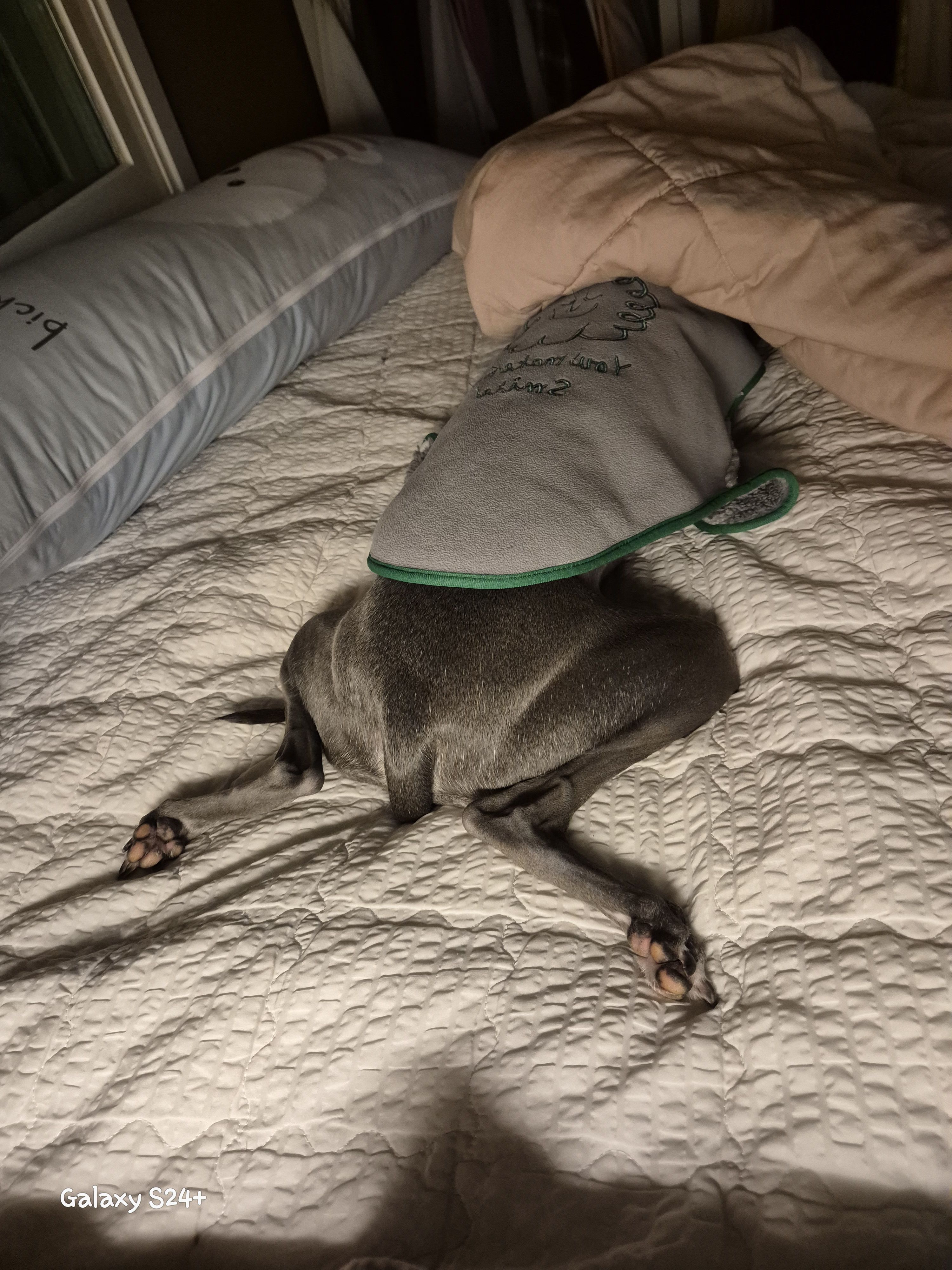 베스트 후기 이미지