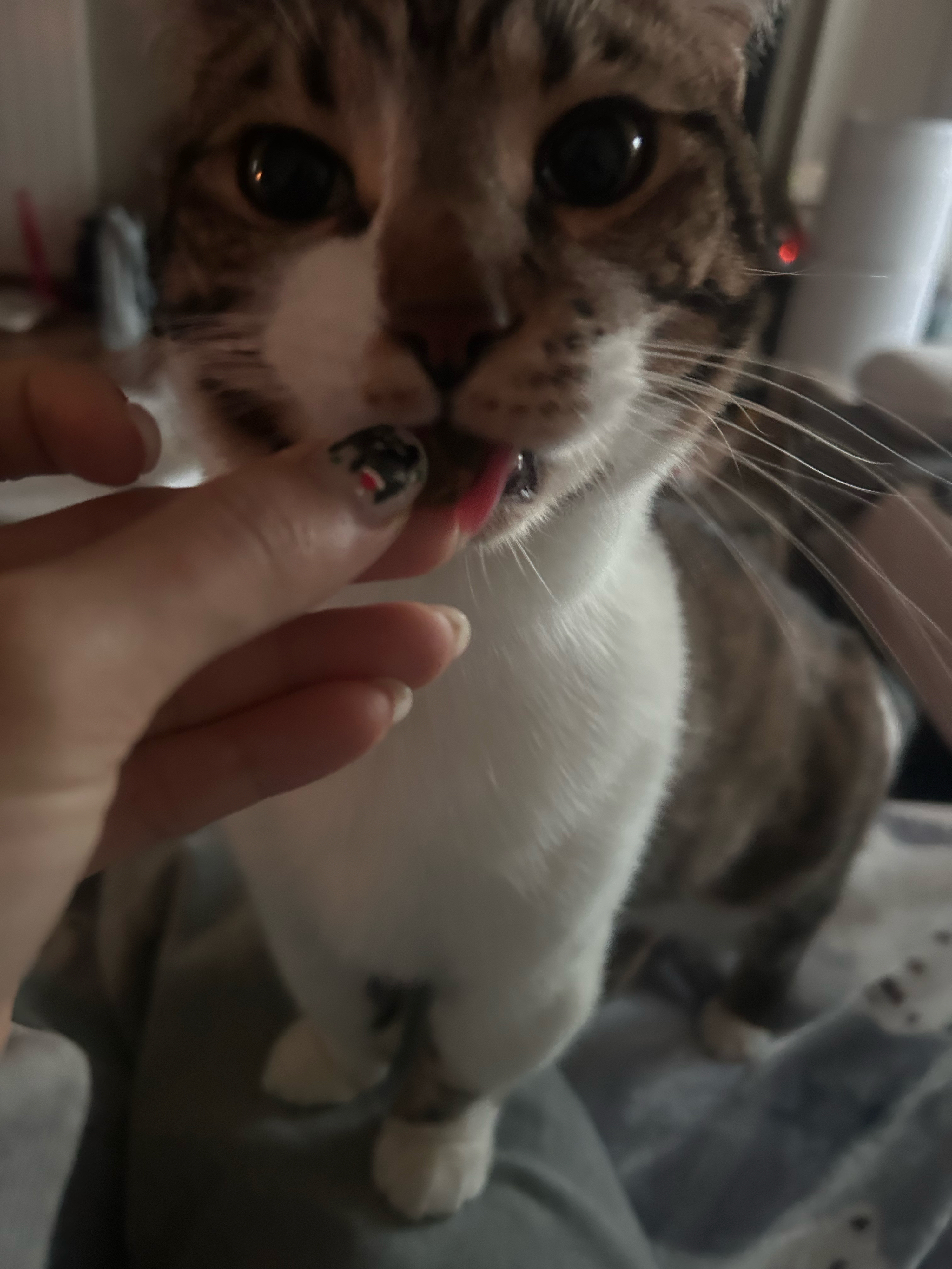 베스트 후기 이미지