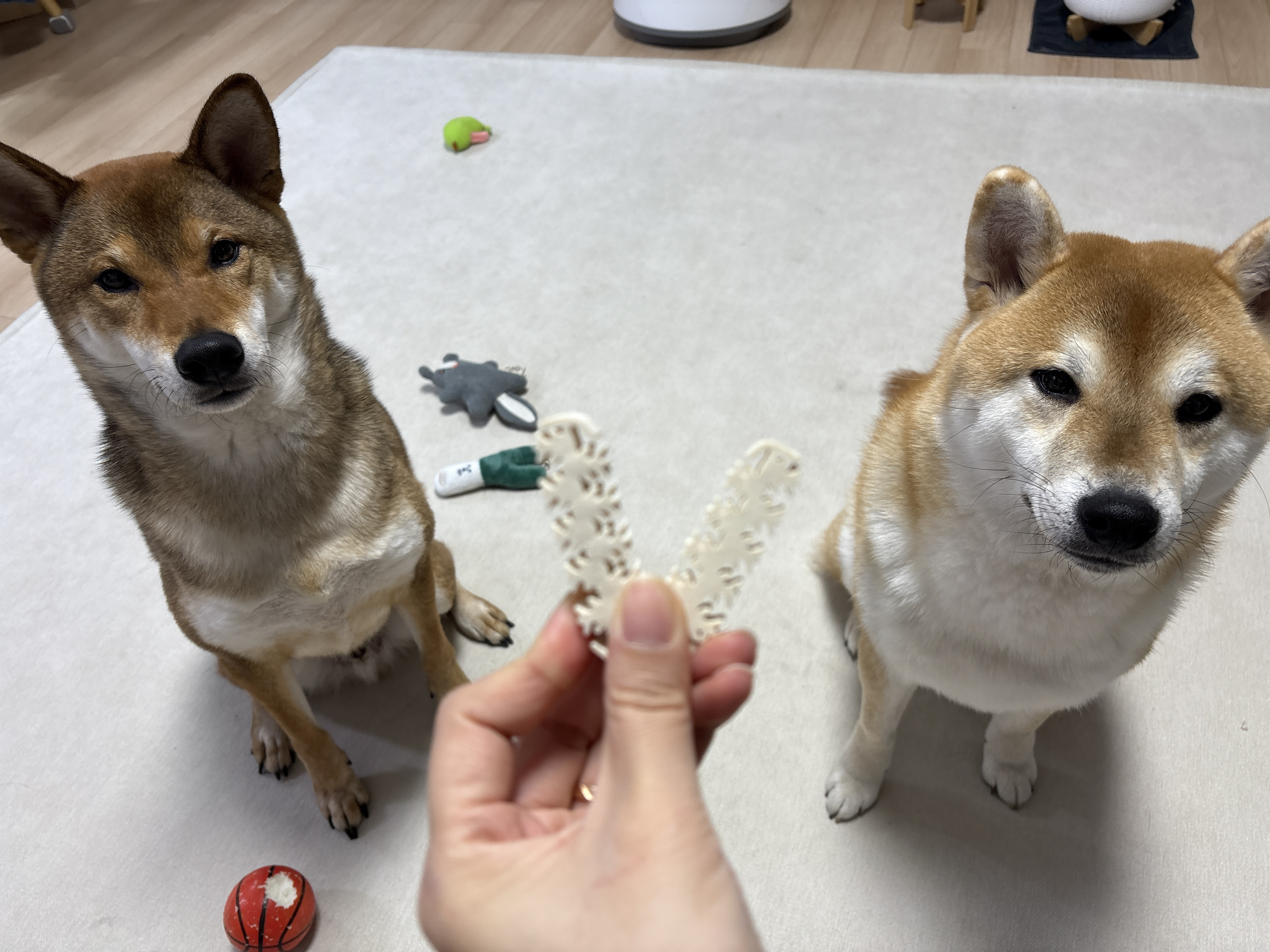 베스트 후기 이미지