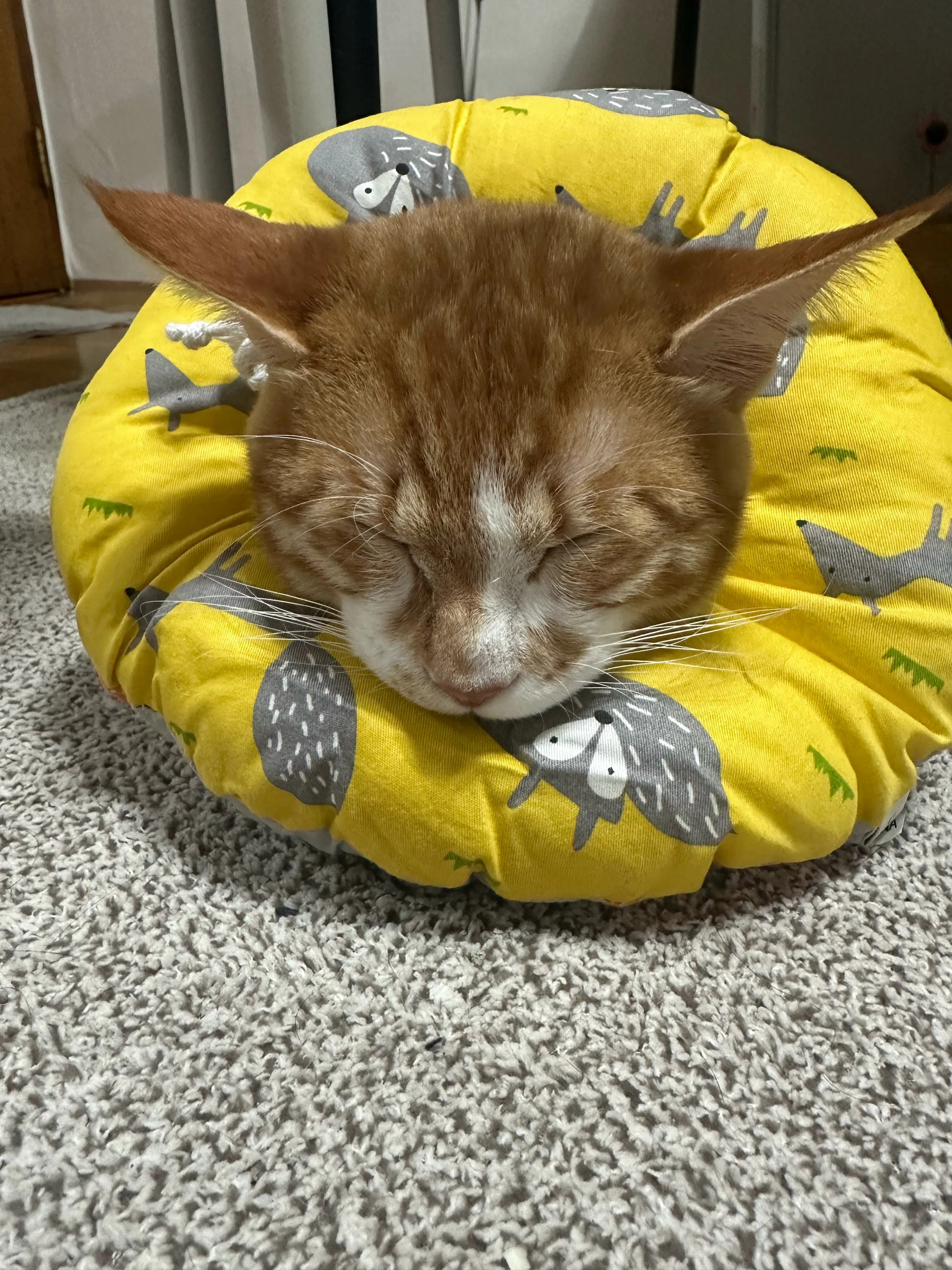 베스트 후기 이미지