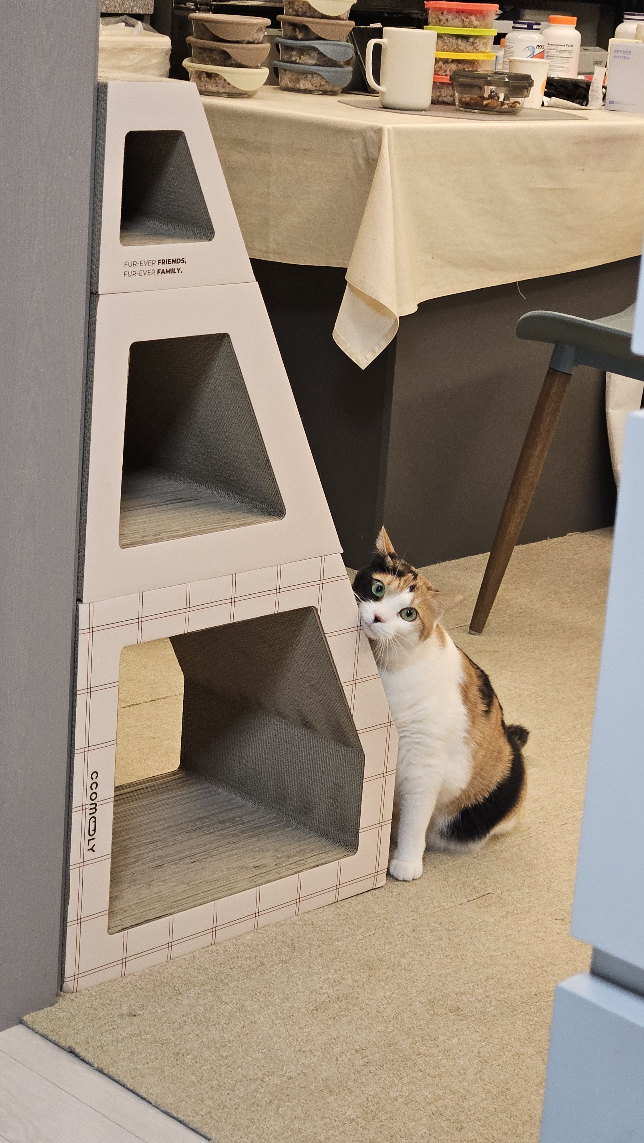 베스트 후기 이미지