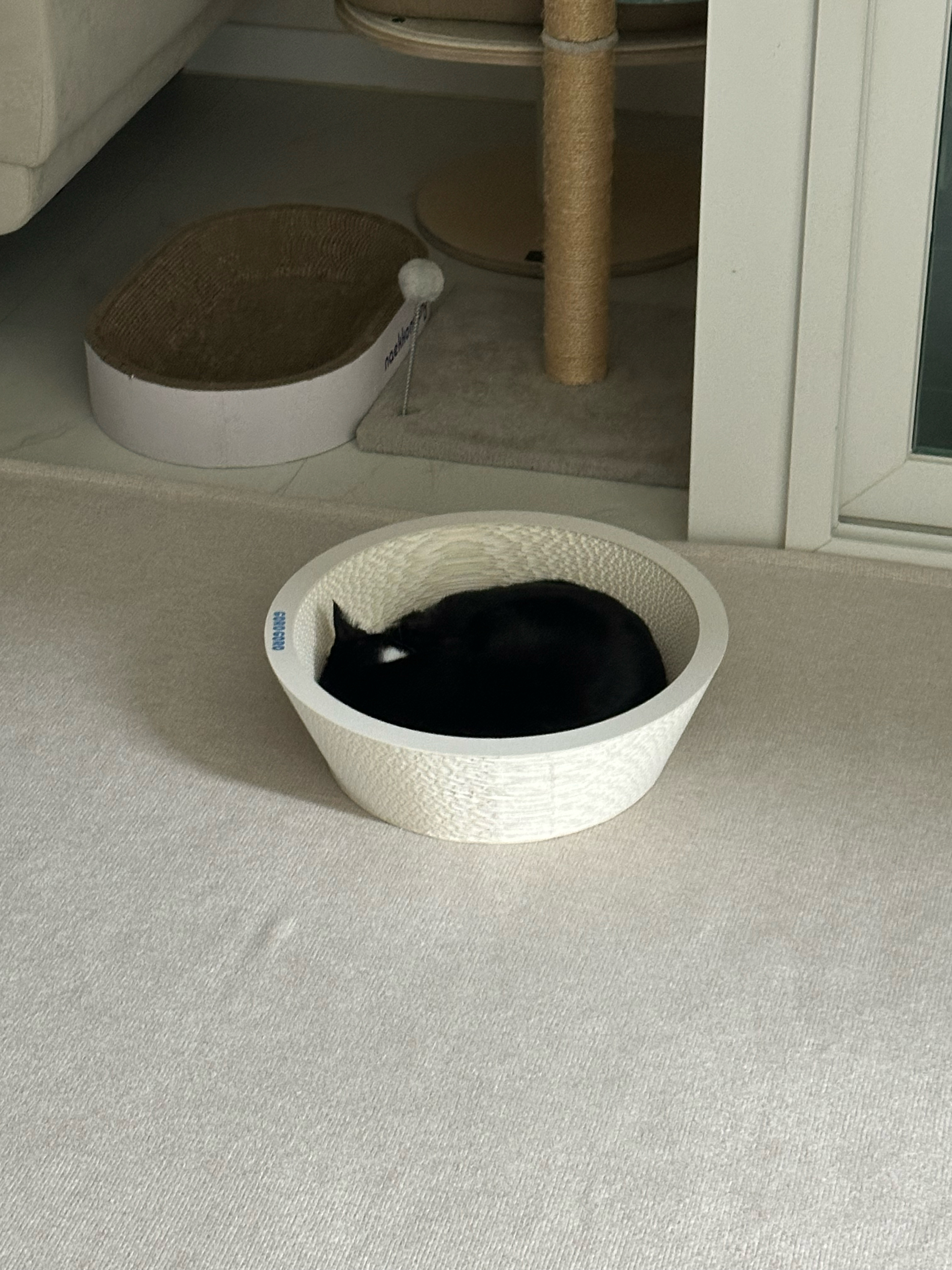 베스트 후기 이미지