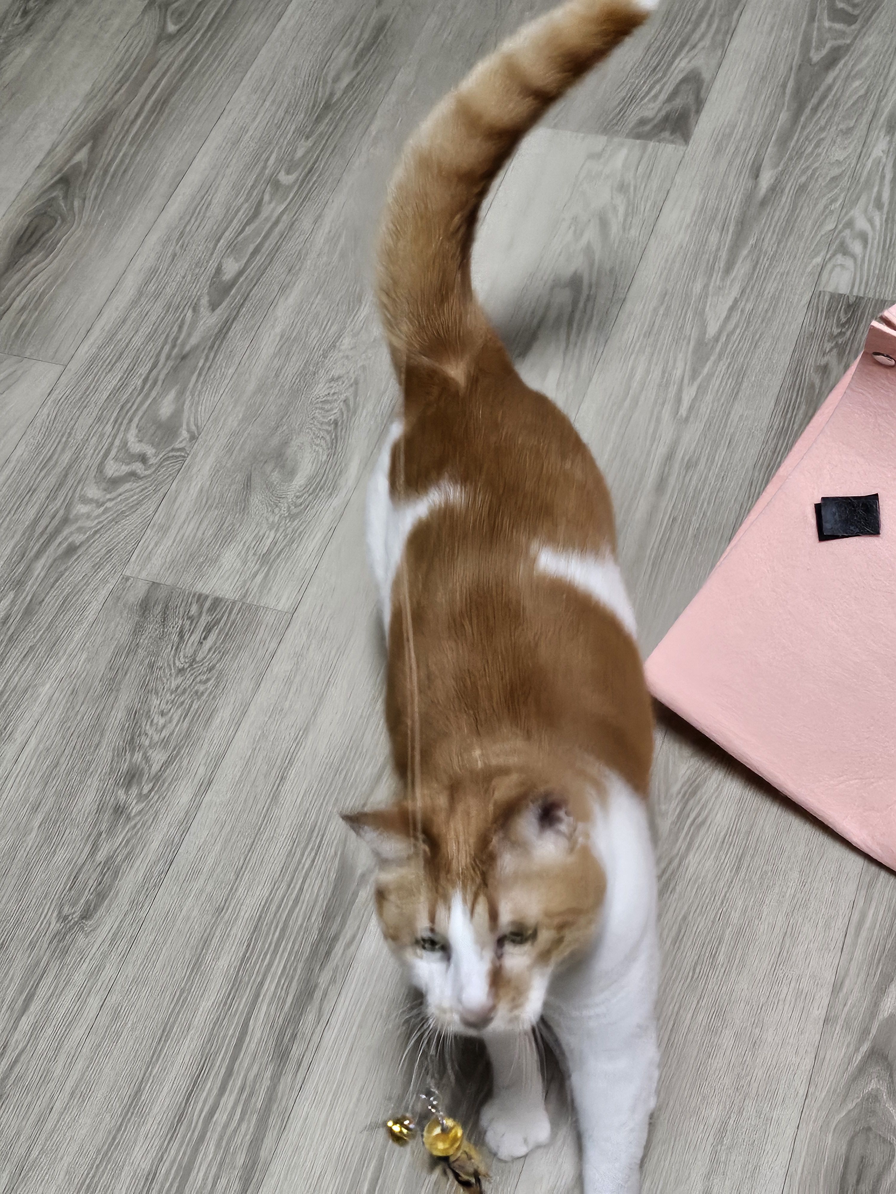 베스트 후기 이미지