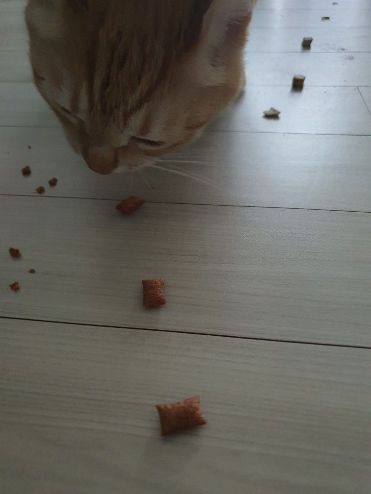 베스트 후기 이미지