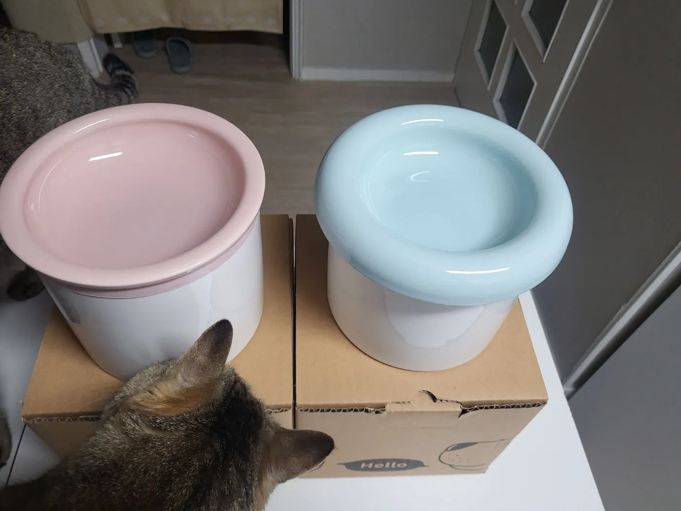 베스트 후기 이미지