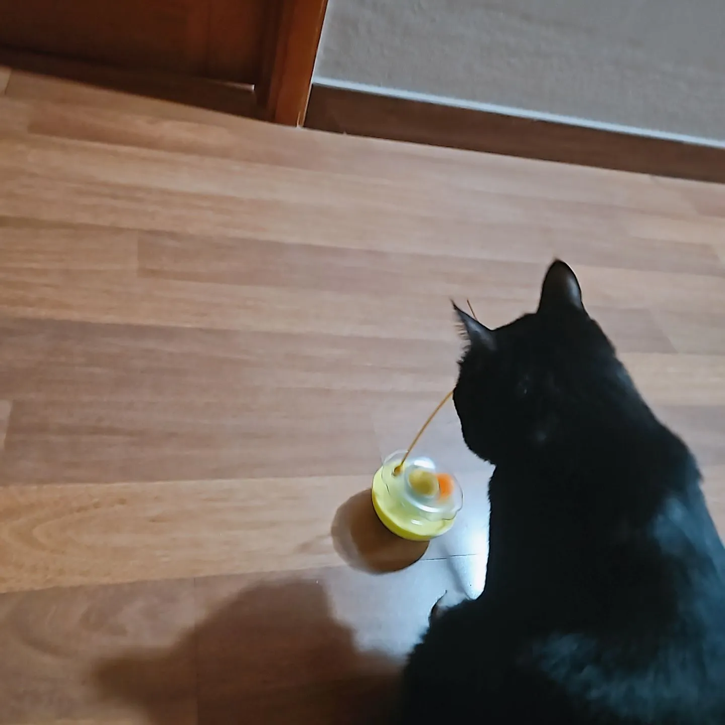 베스트 후기 이미지