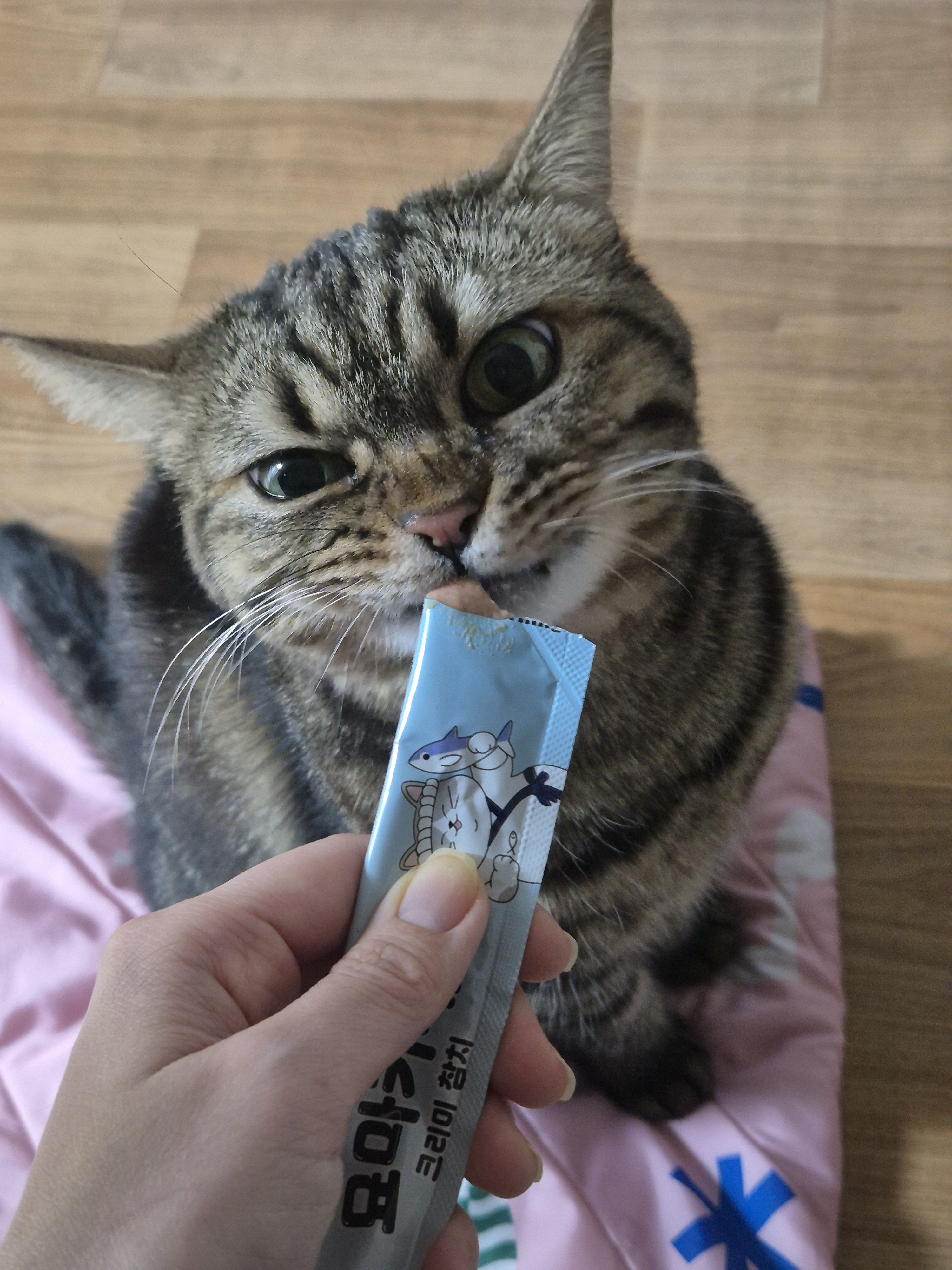 베스트 후기 이미지