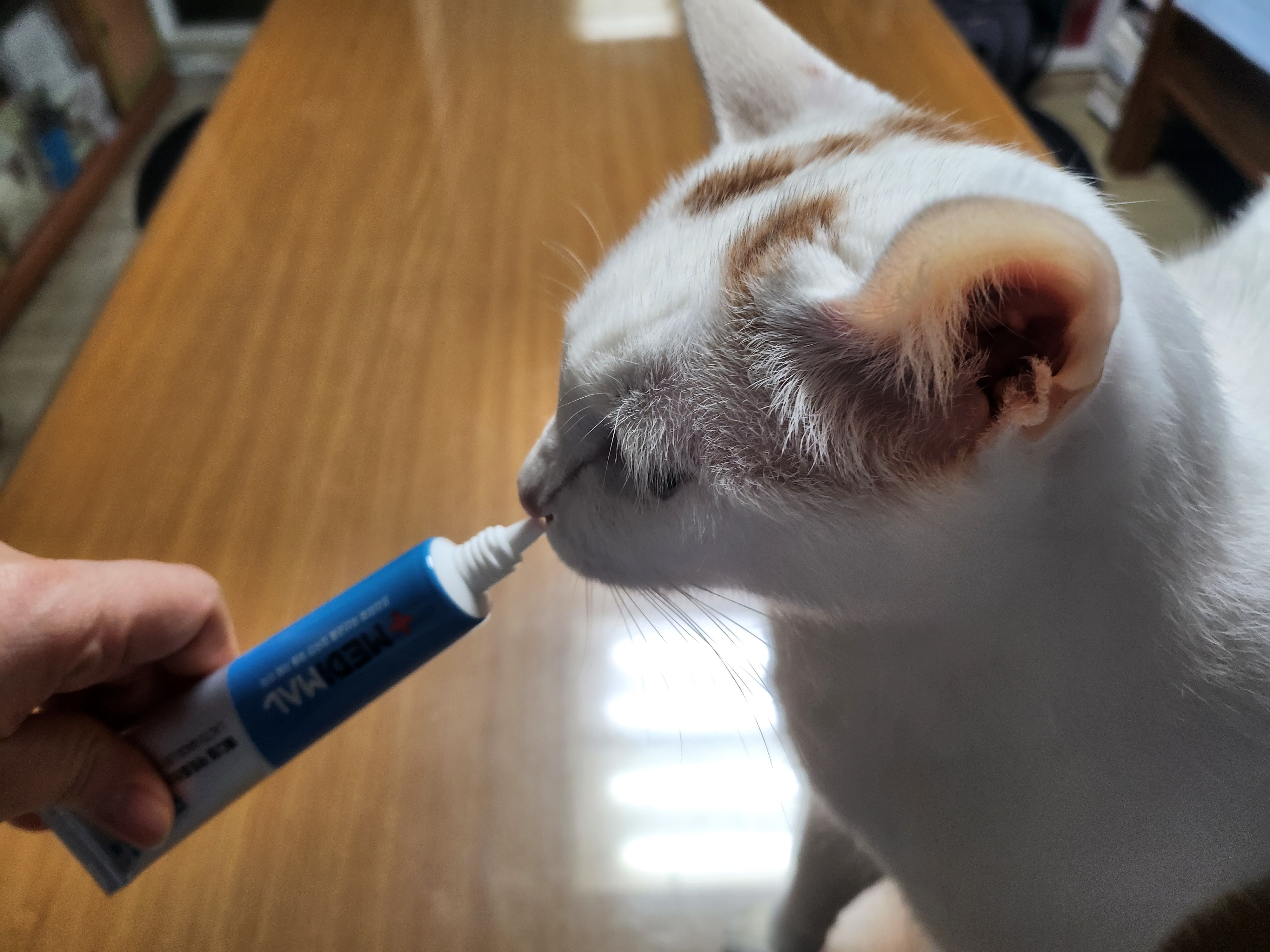 베스트 후기 이미지