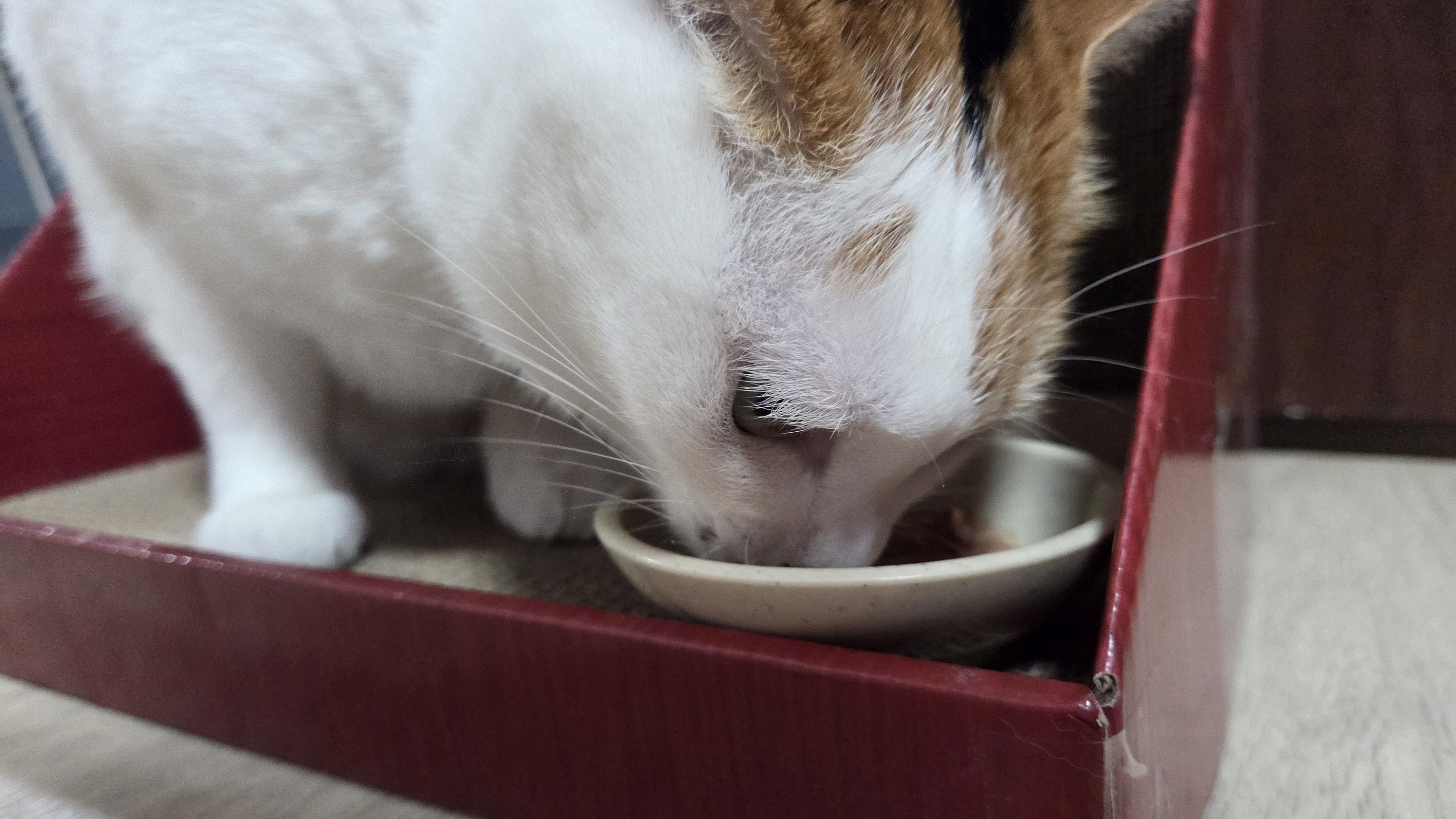 베스트 후기 이미지