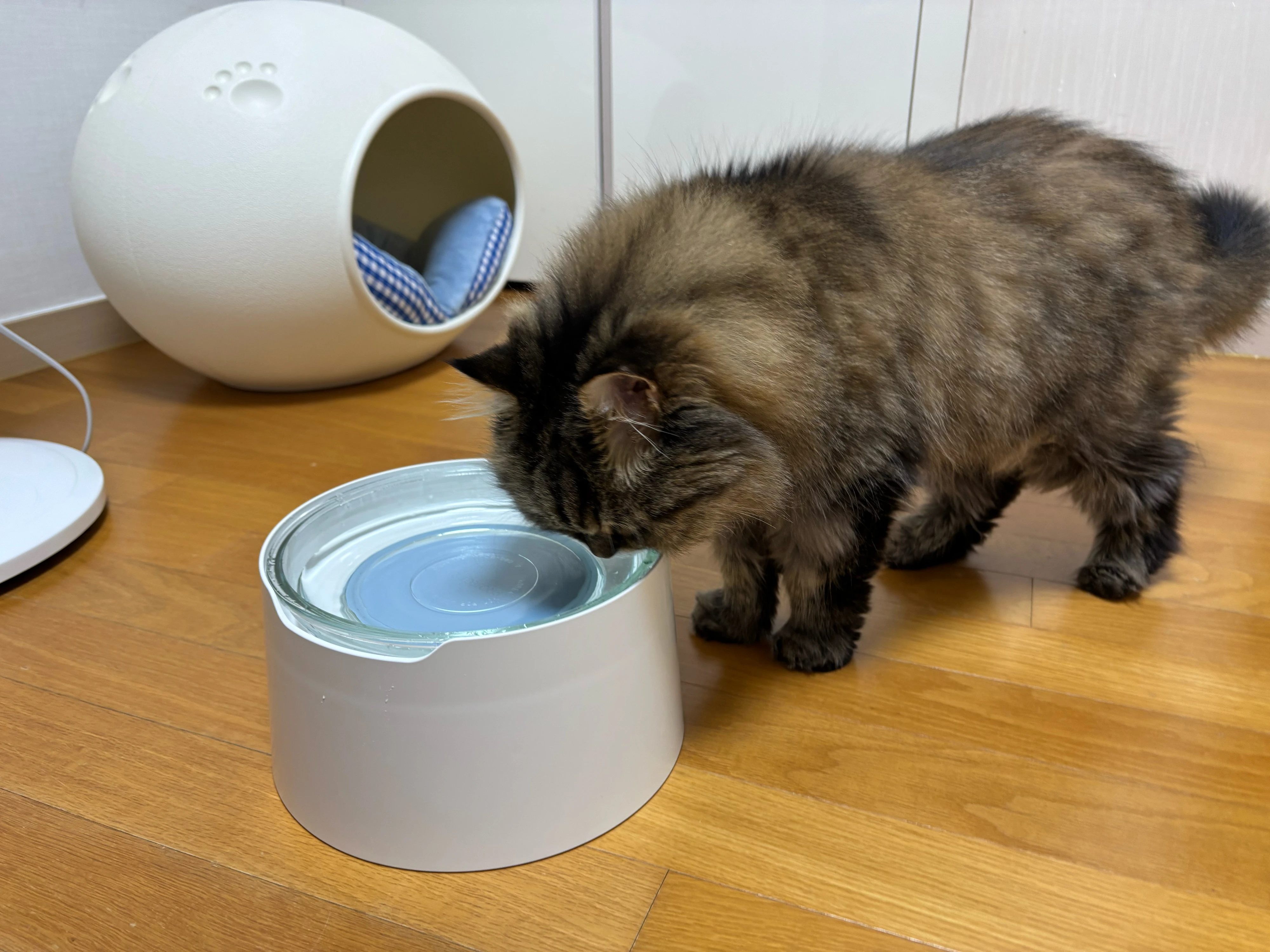 프로젝트21 태평양 수반 베스트 후기 이미지