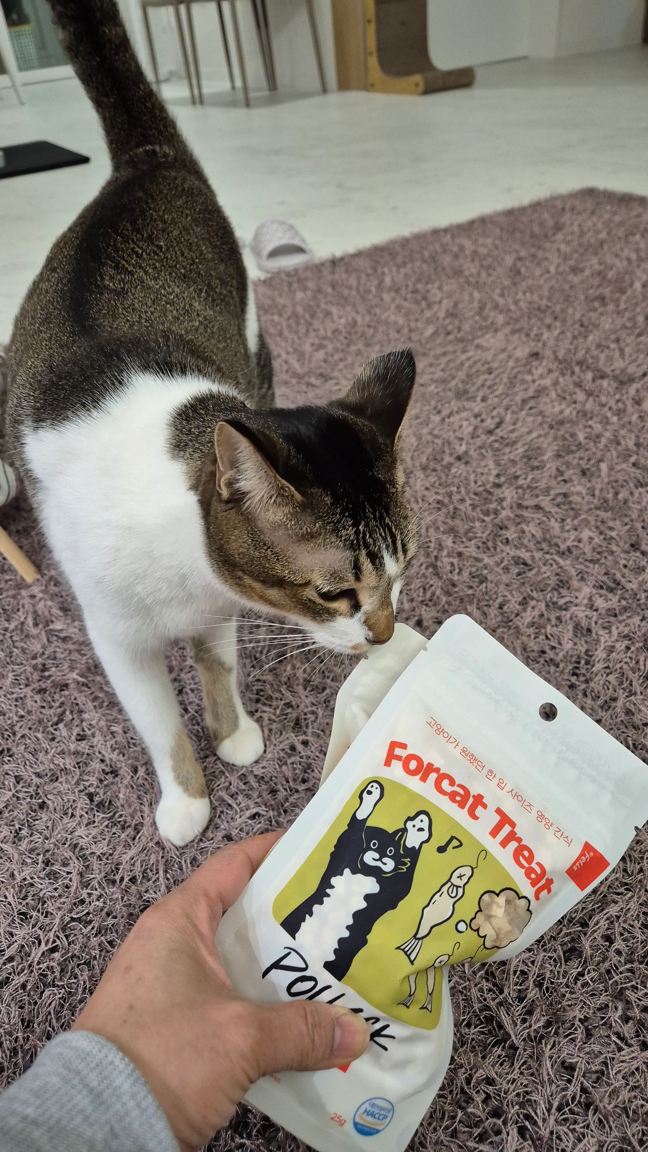 베스트 후기 이미지