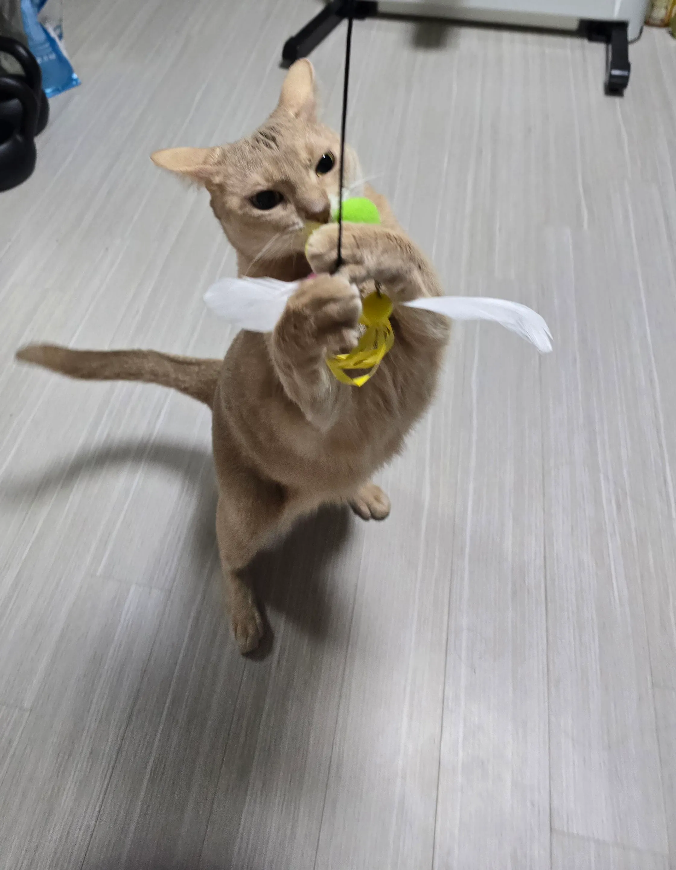 베스트 후기 이미지