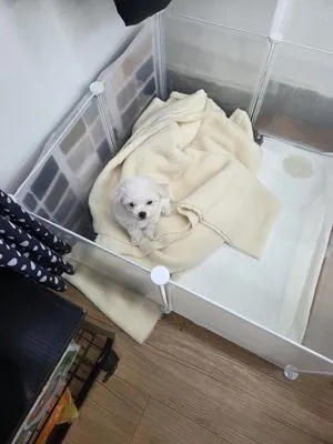 베스트 후기 이미지