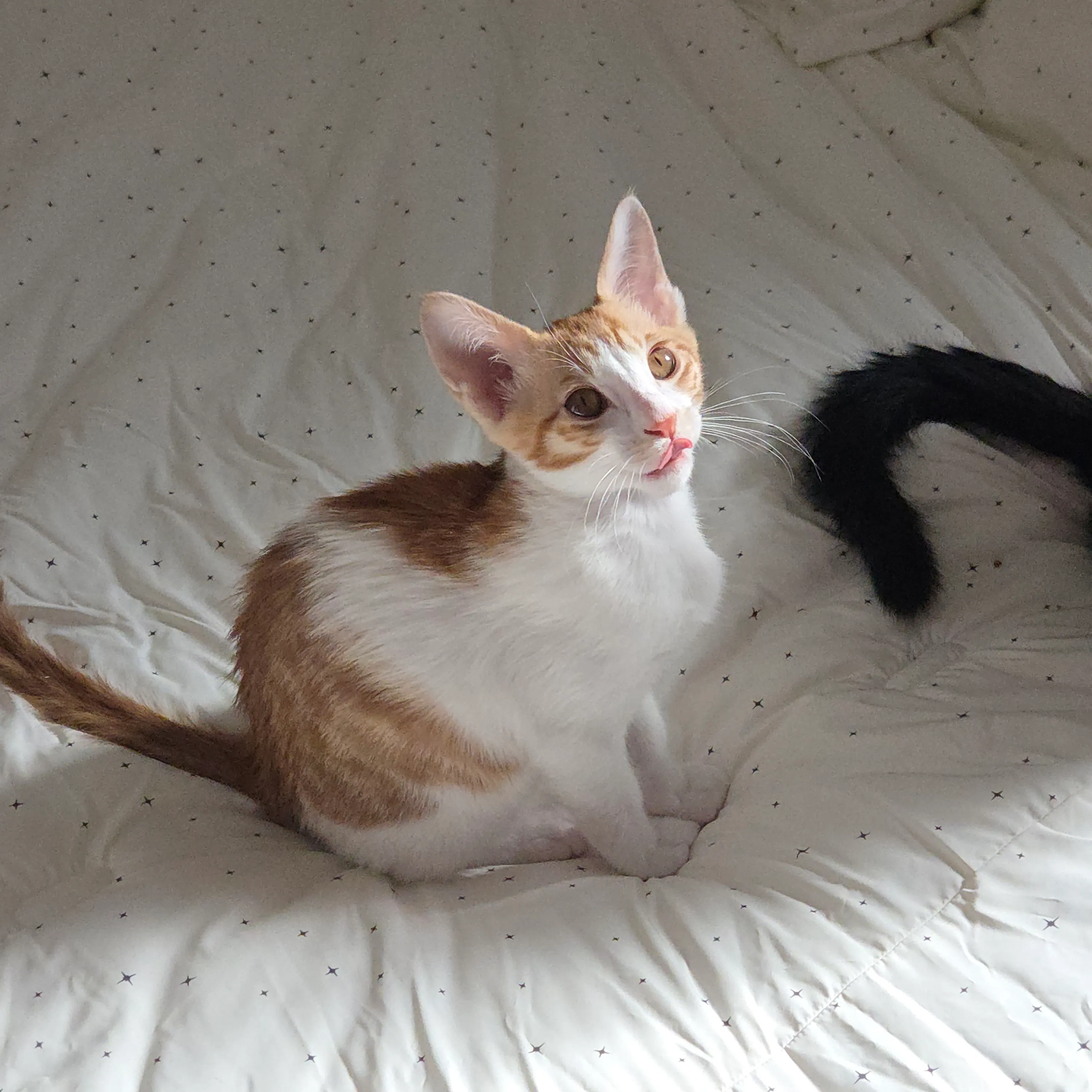 베스트 후기 이미지