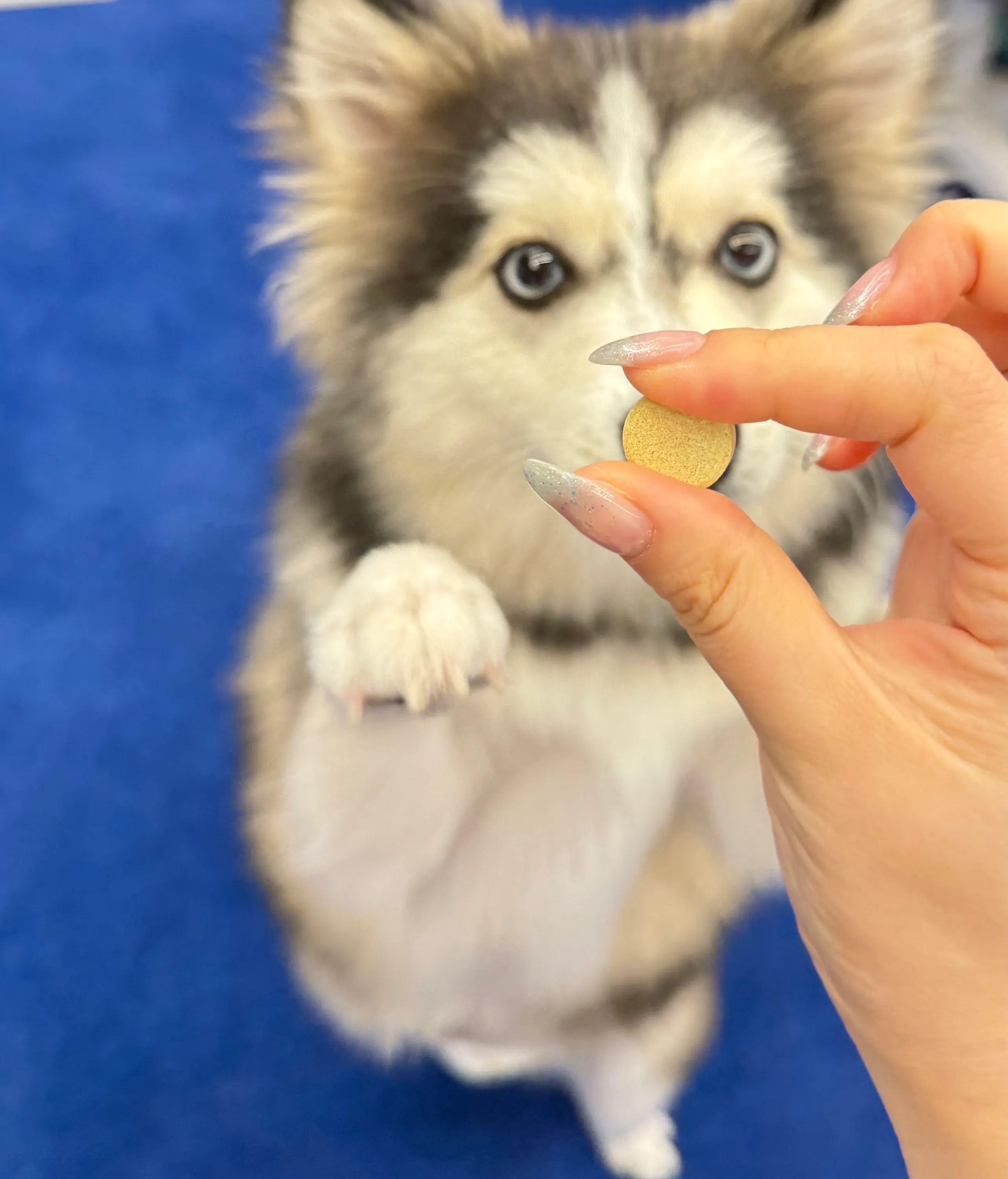 베스트 후기 이미지