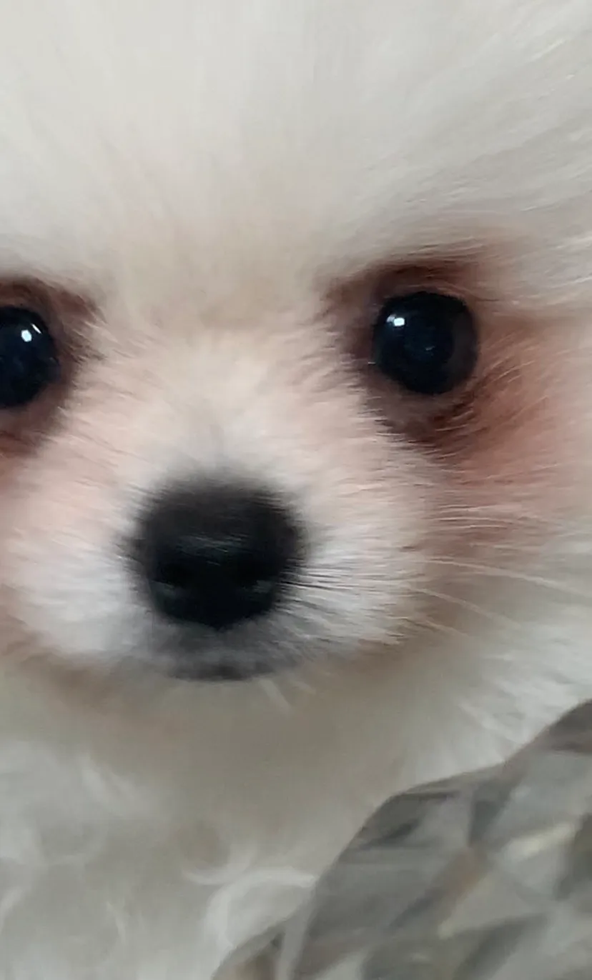 베스트 후기 이미지