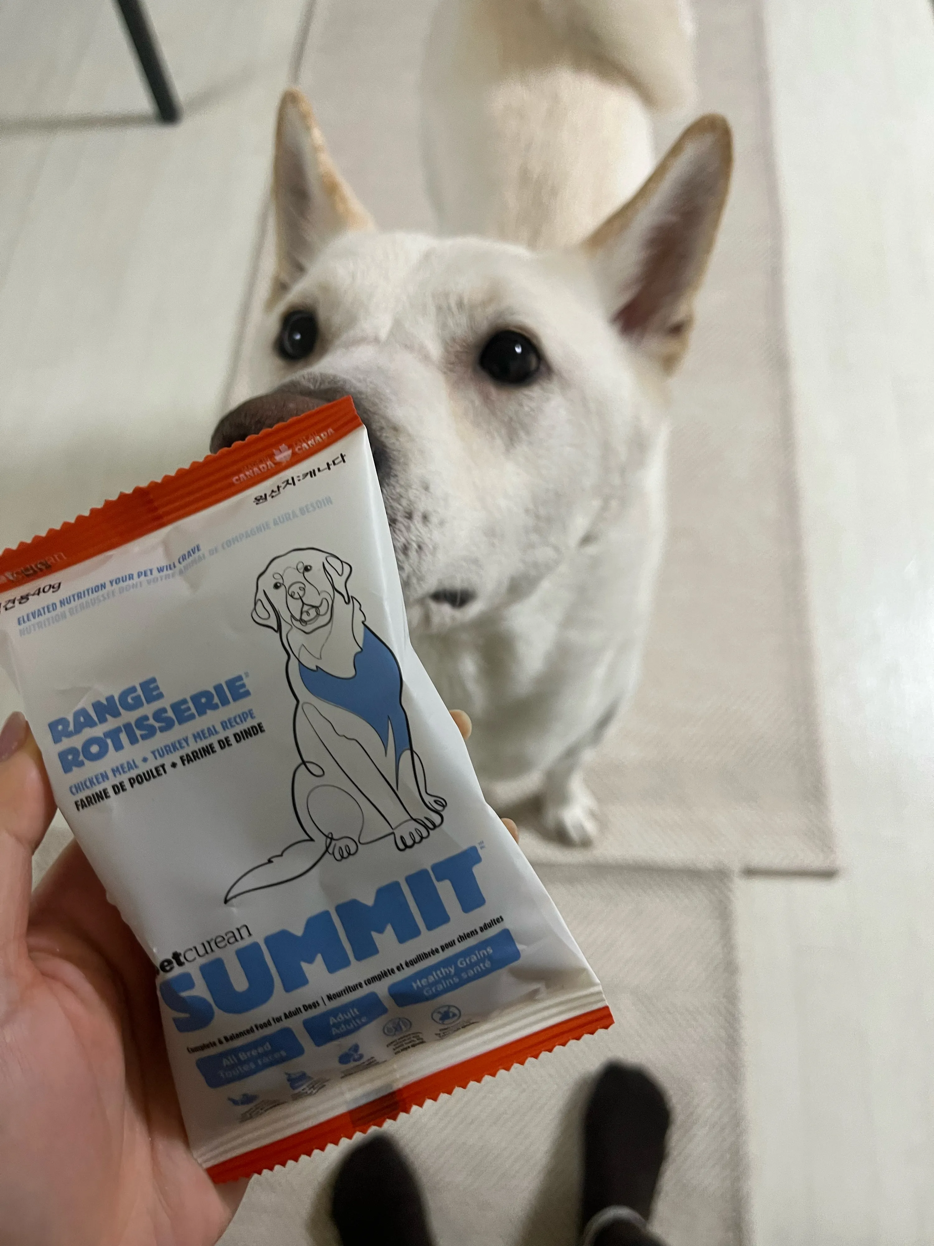 베스트 후기 이미지