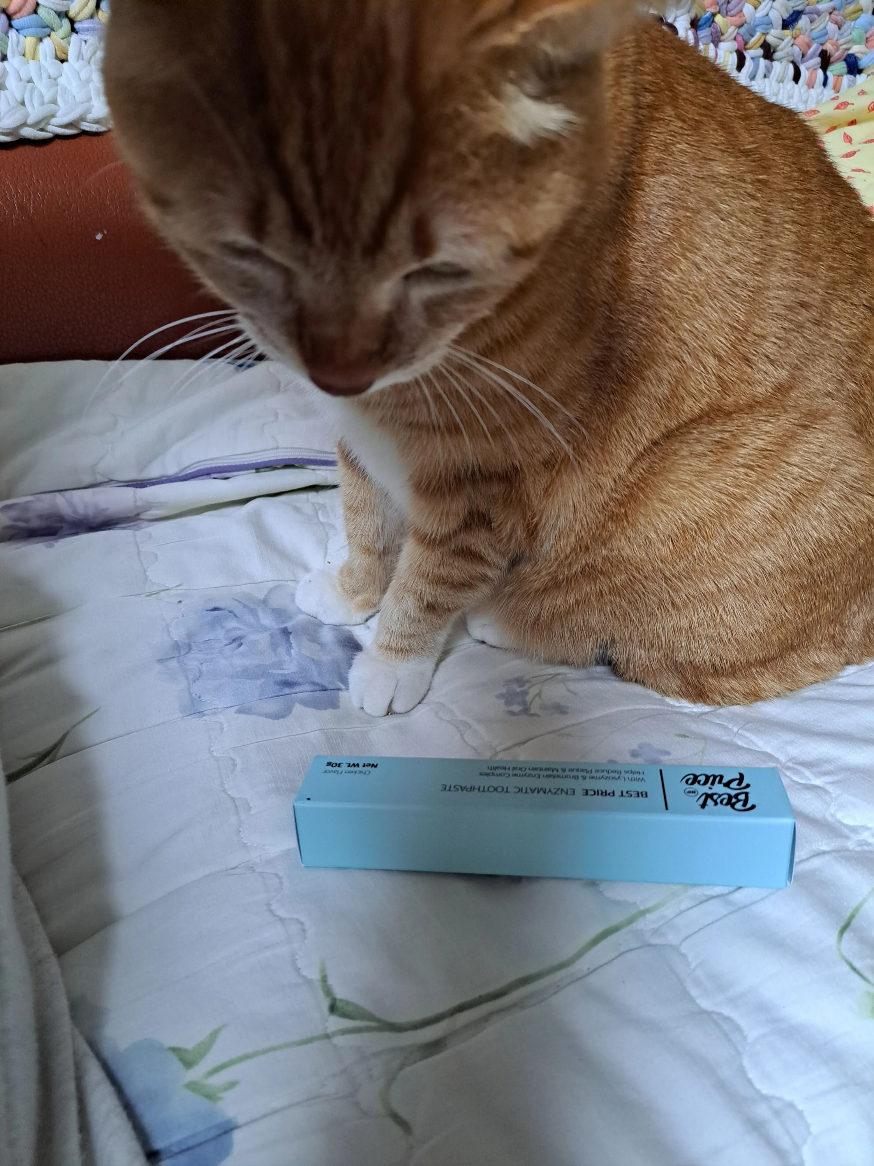 베스트 후기 이미지