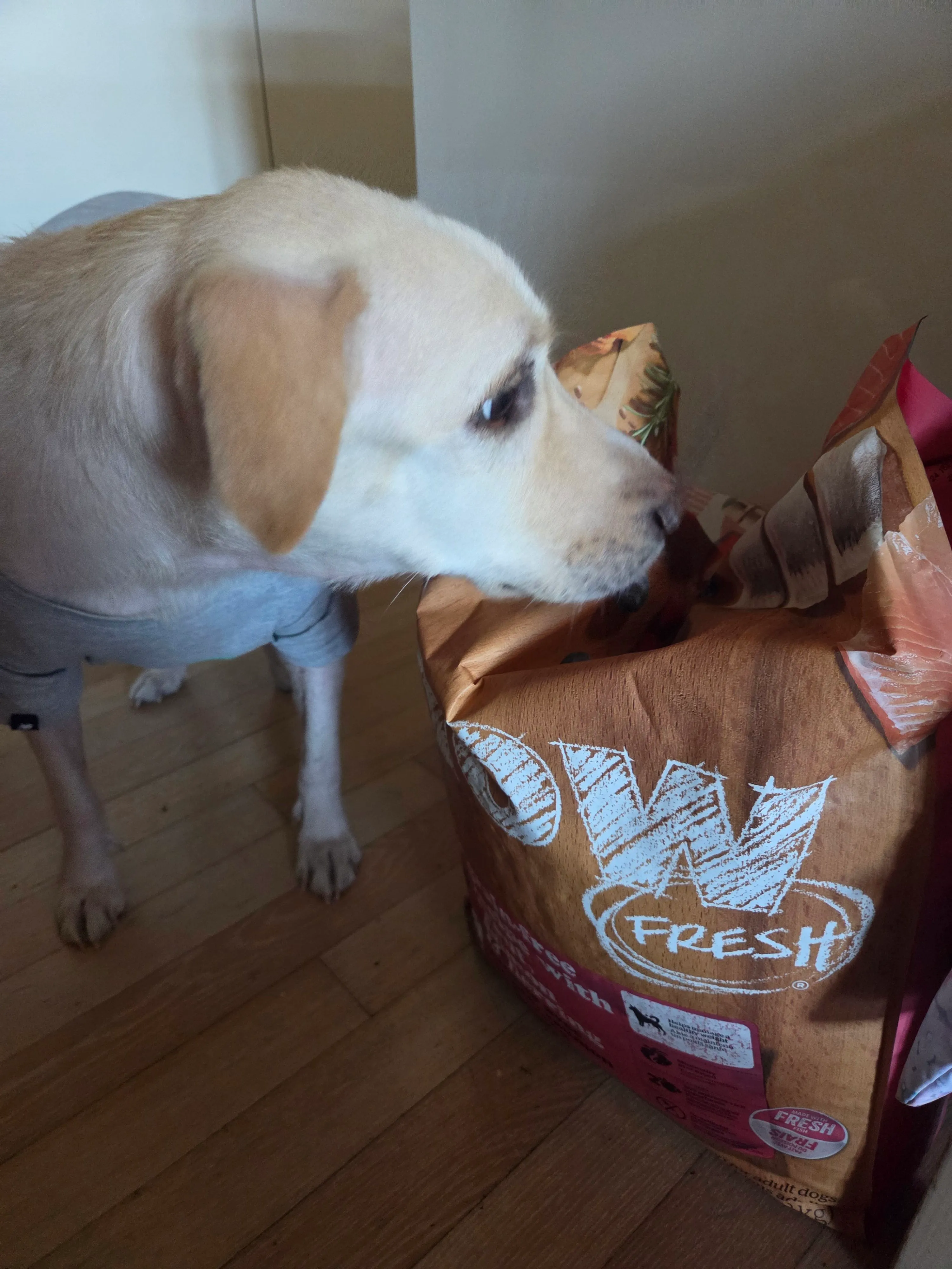 베스트 후기 이미지