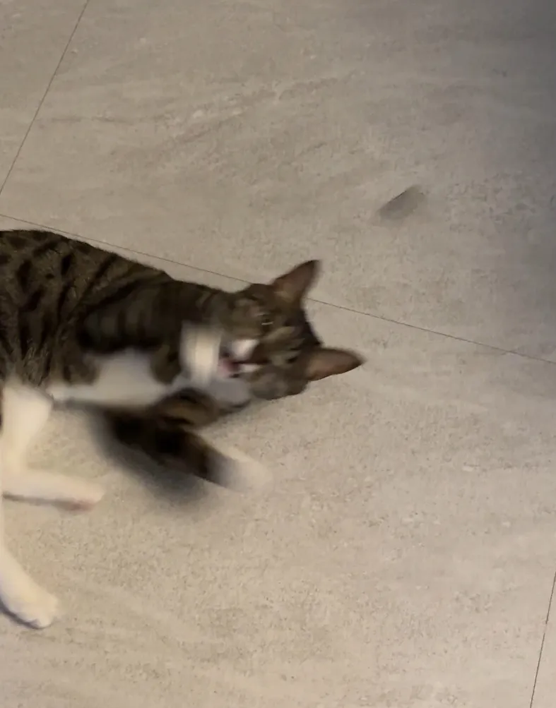 베스트 후기 이미지