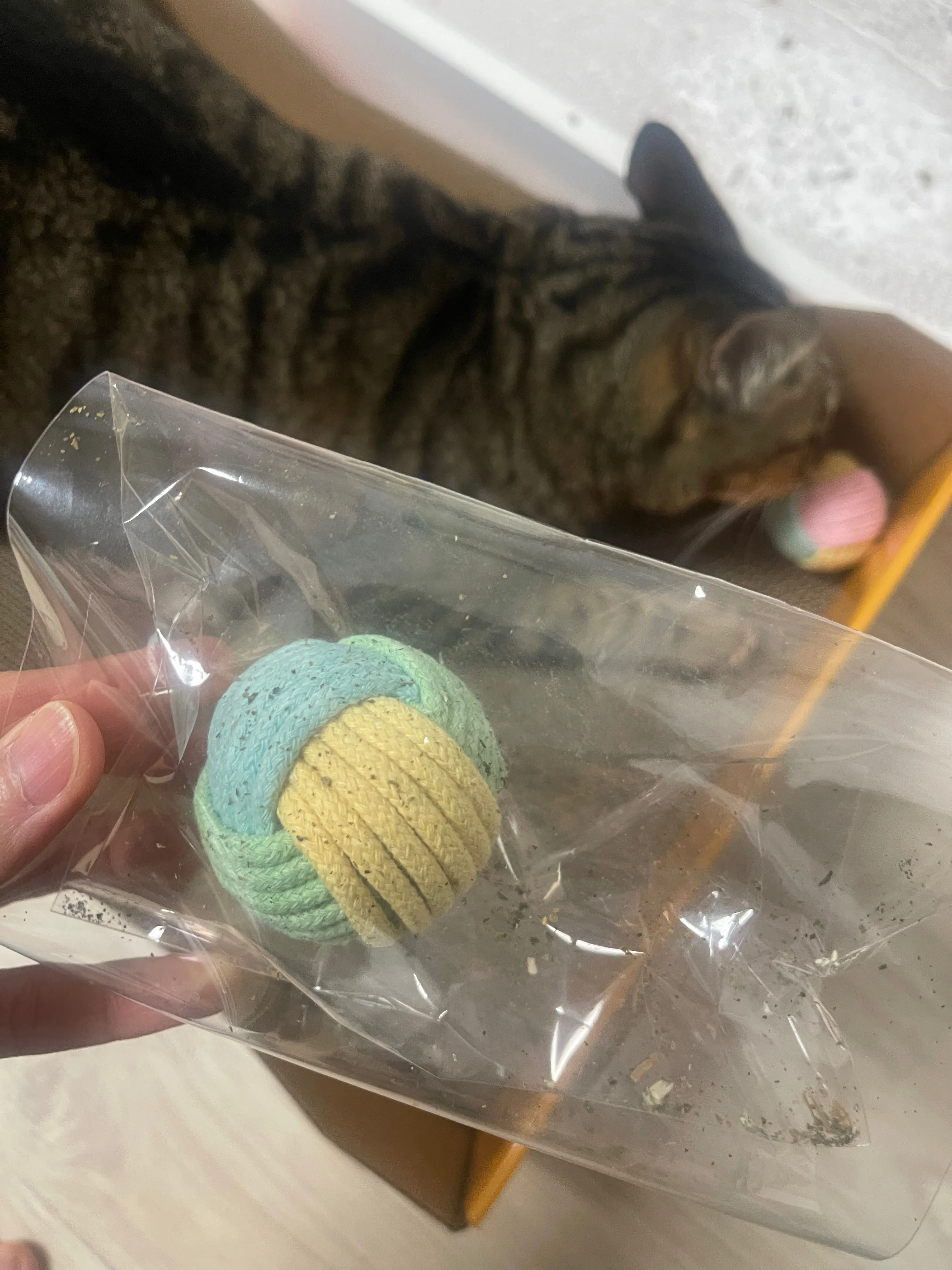 베스트 후기 이미지