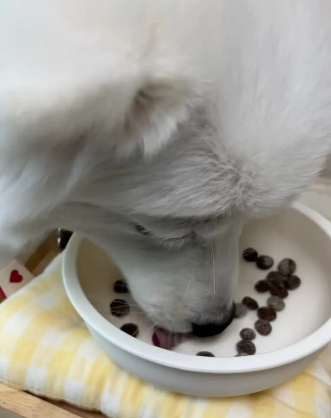 베스트 후기 이미지