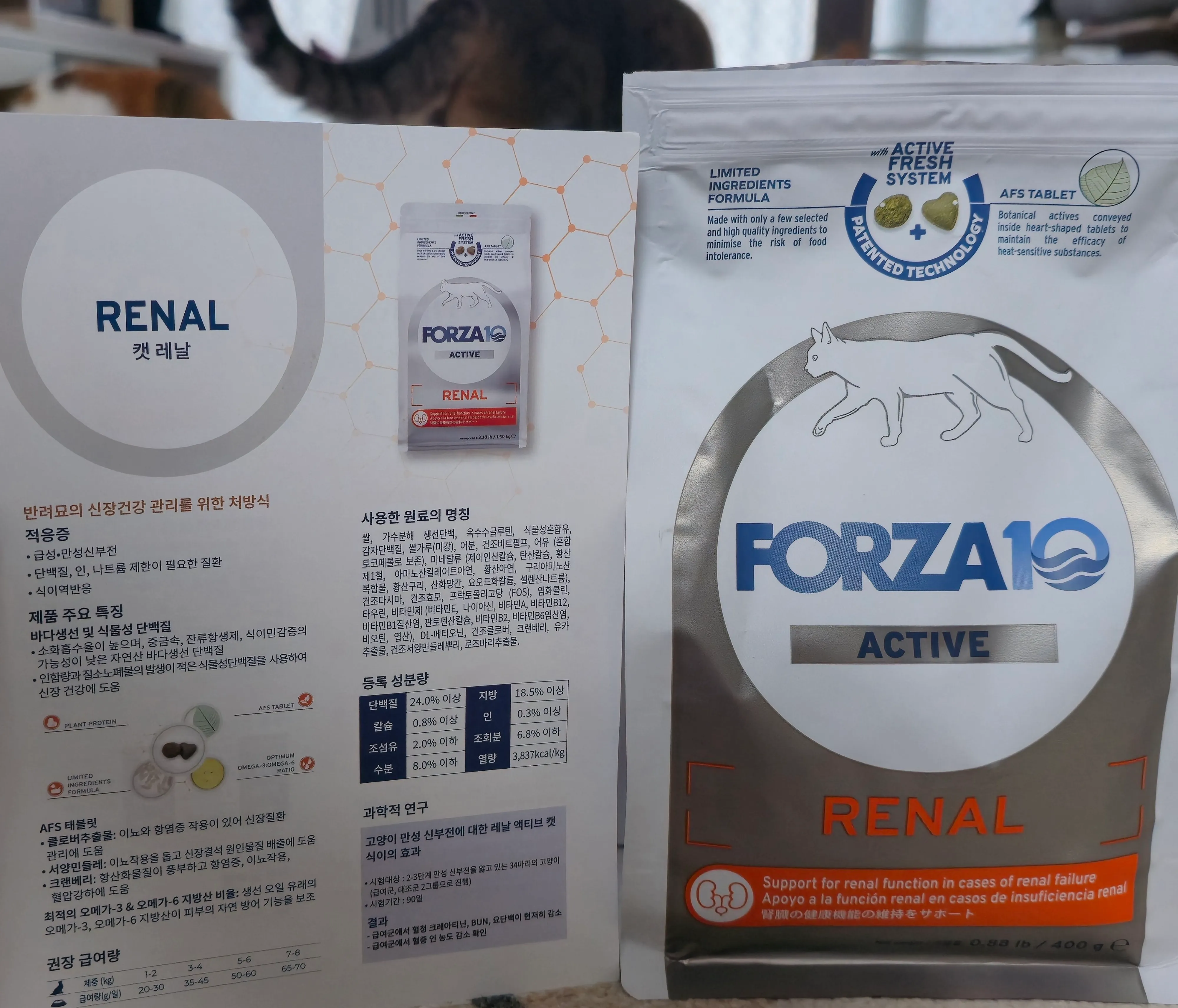 베스트 후기 이미지