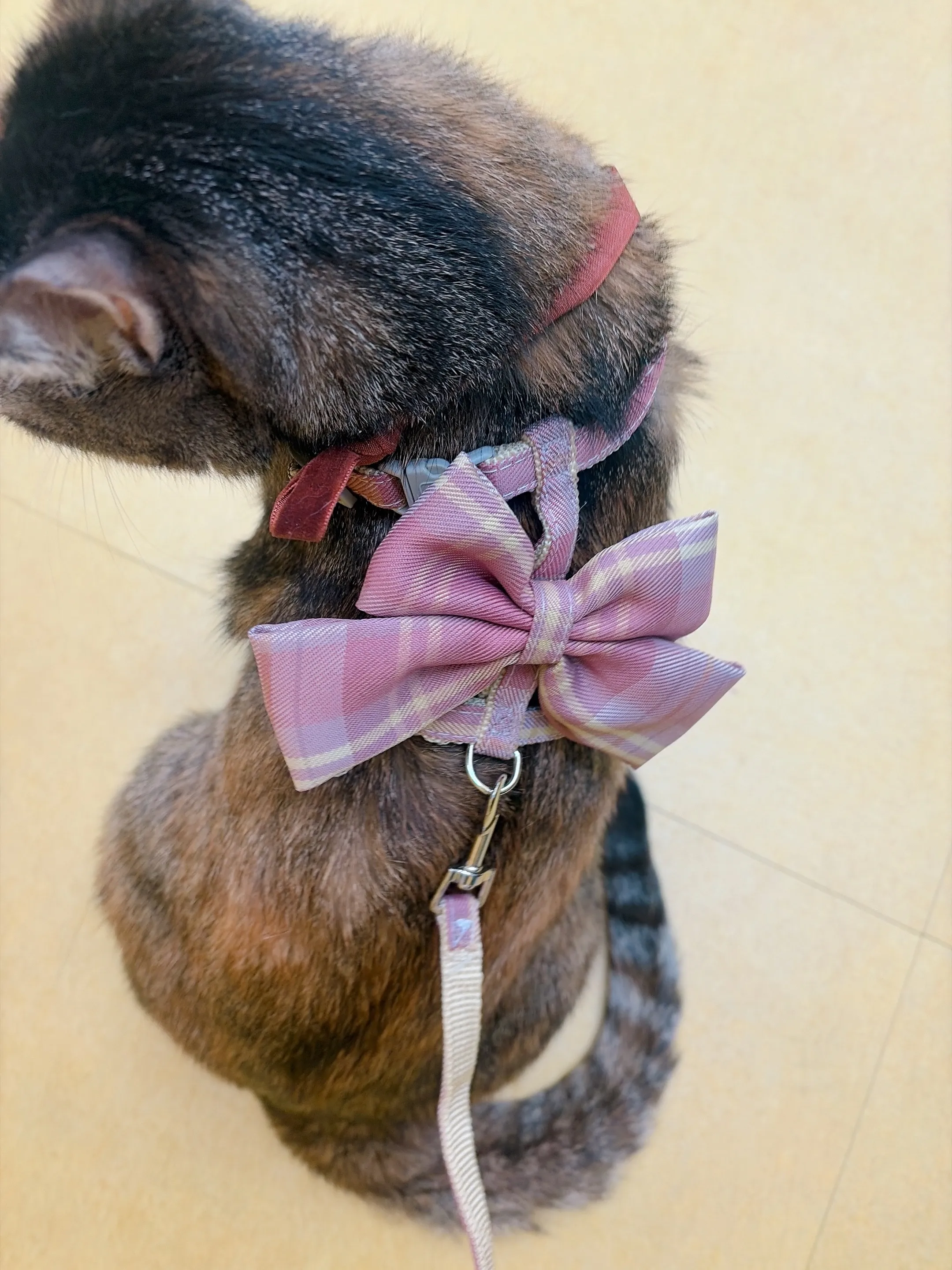 베스트 후기 이미지