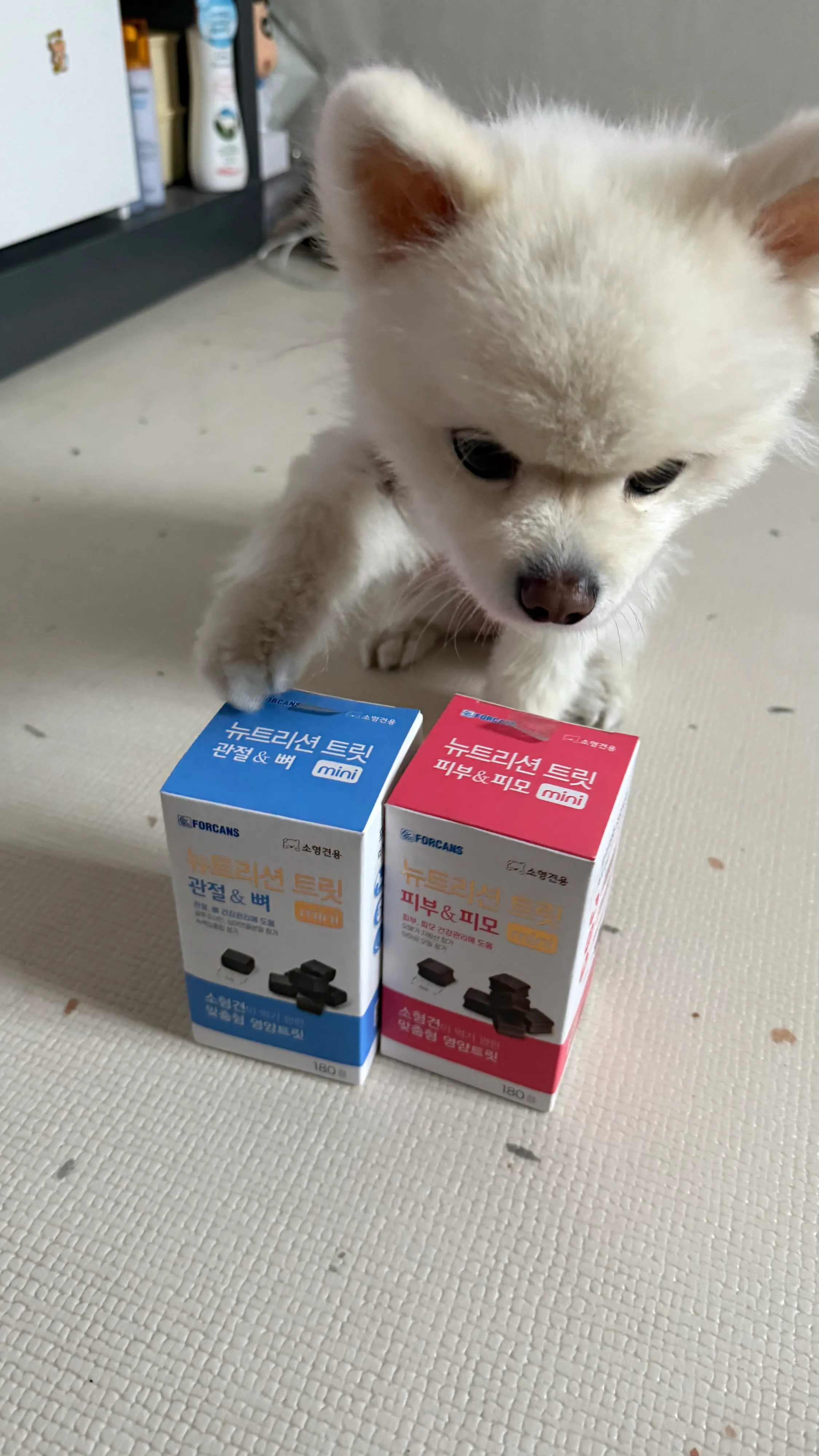 베스트 후기 이미지