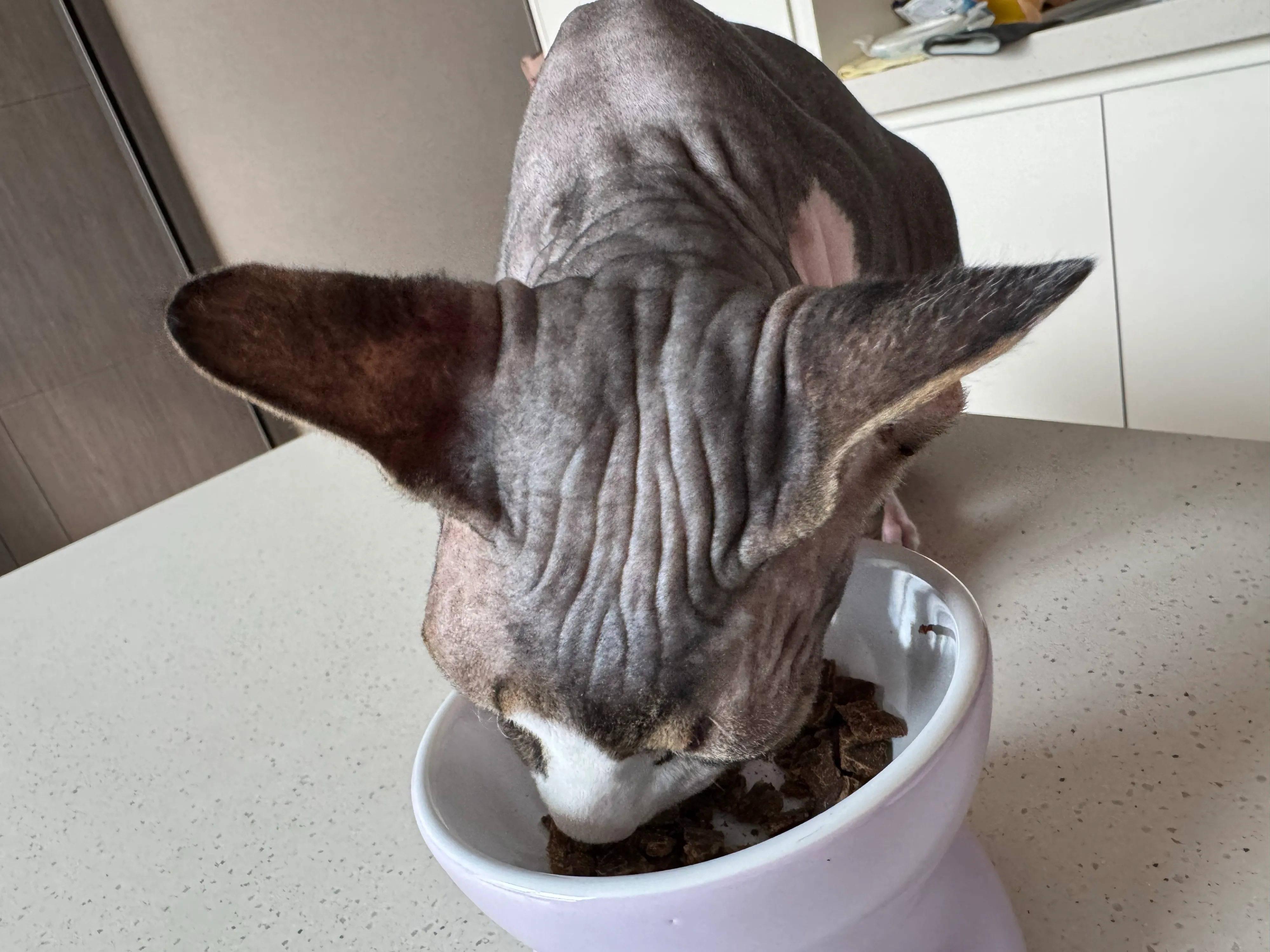 베스트 후기 이미지