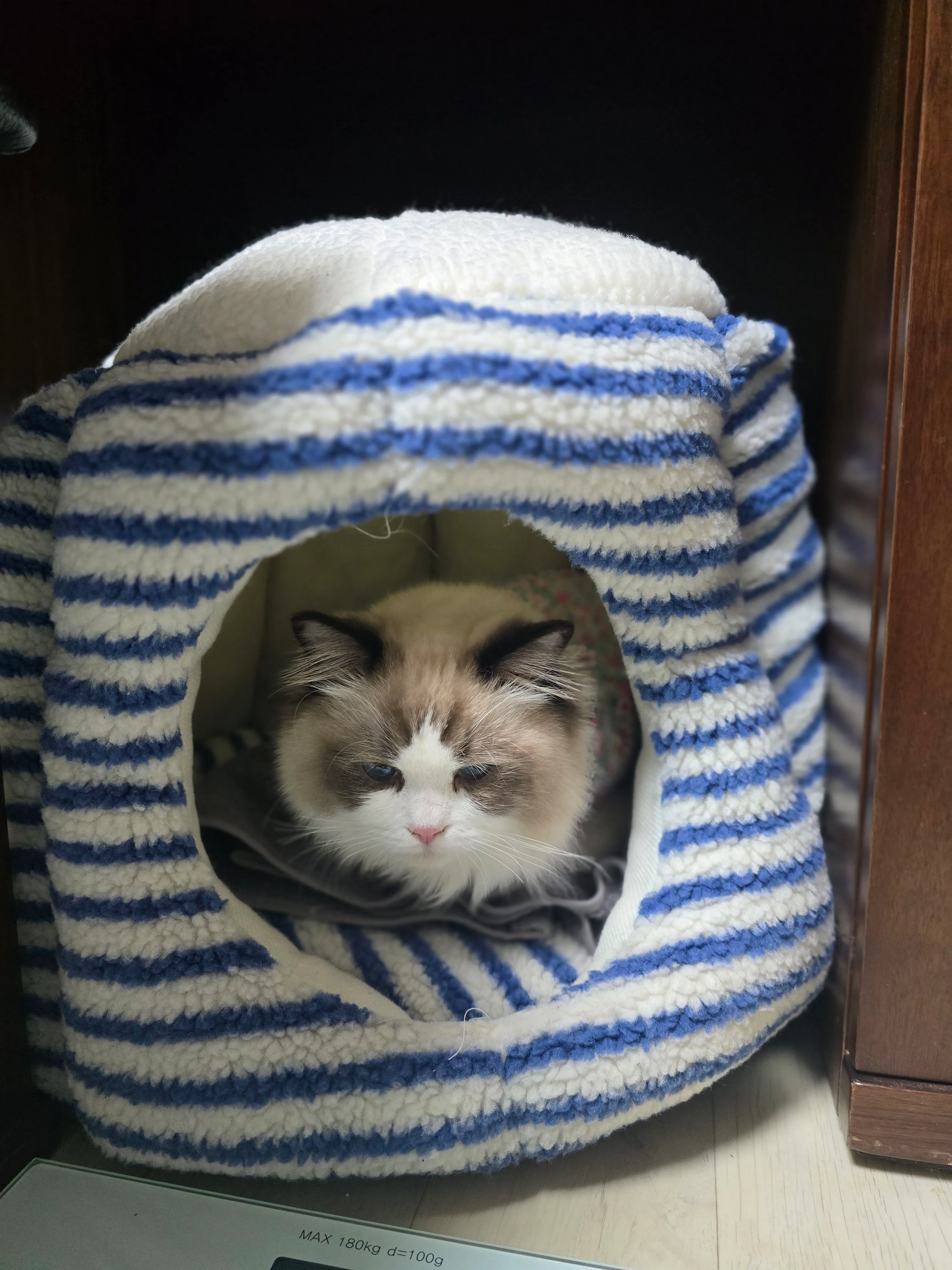 베스트 후기 이미지