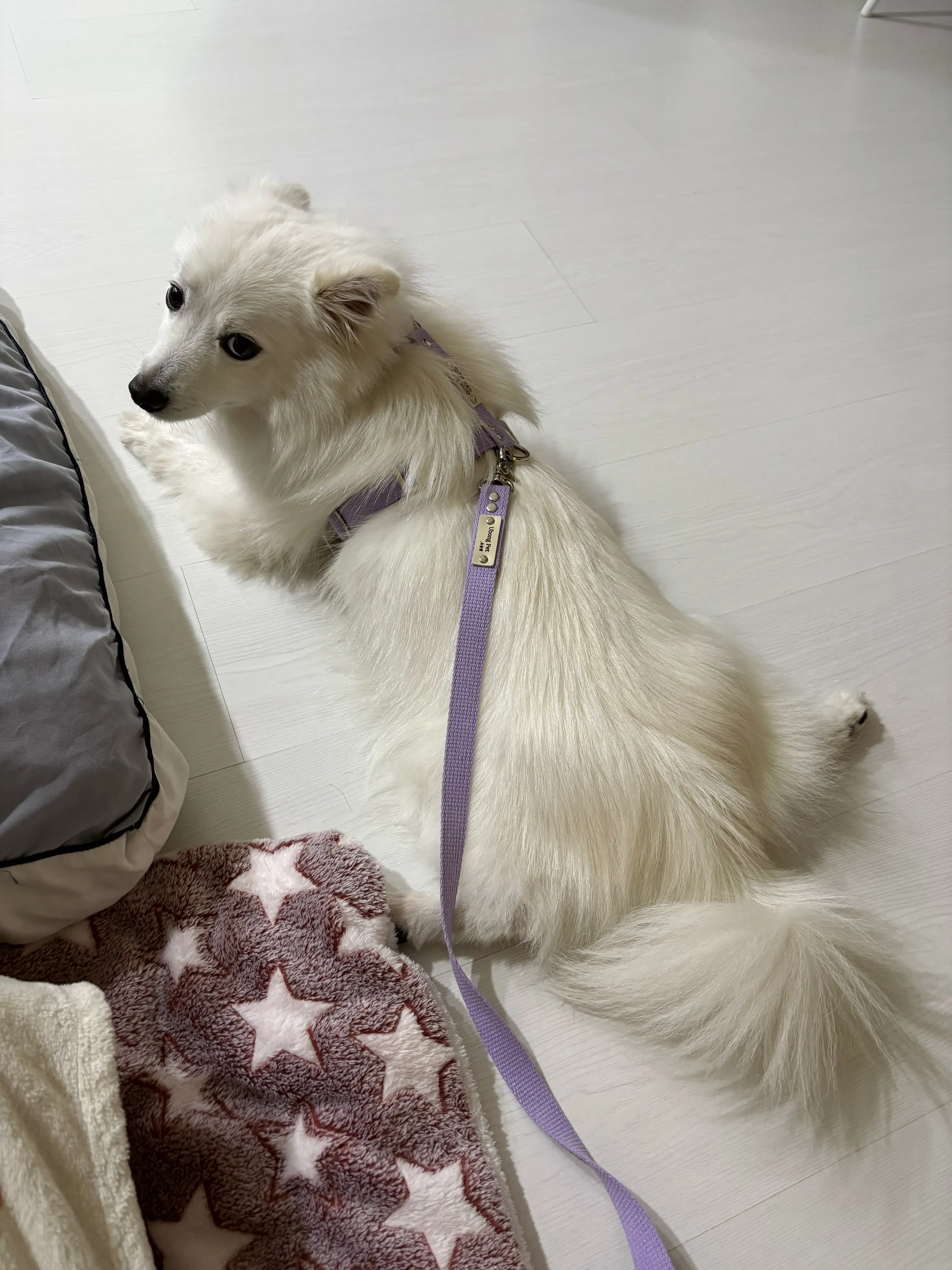 베스트 후기 이미지