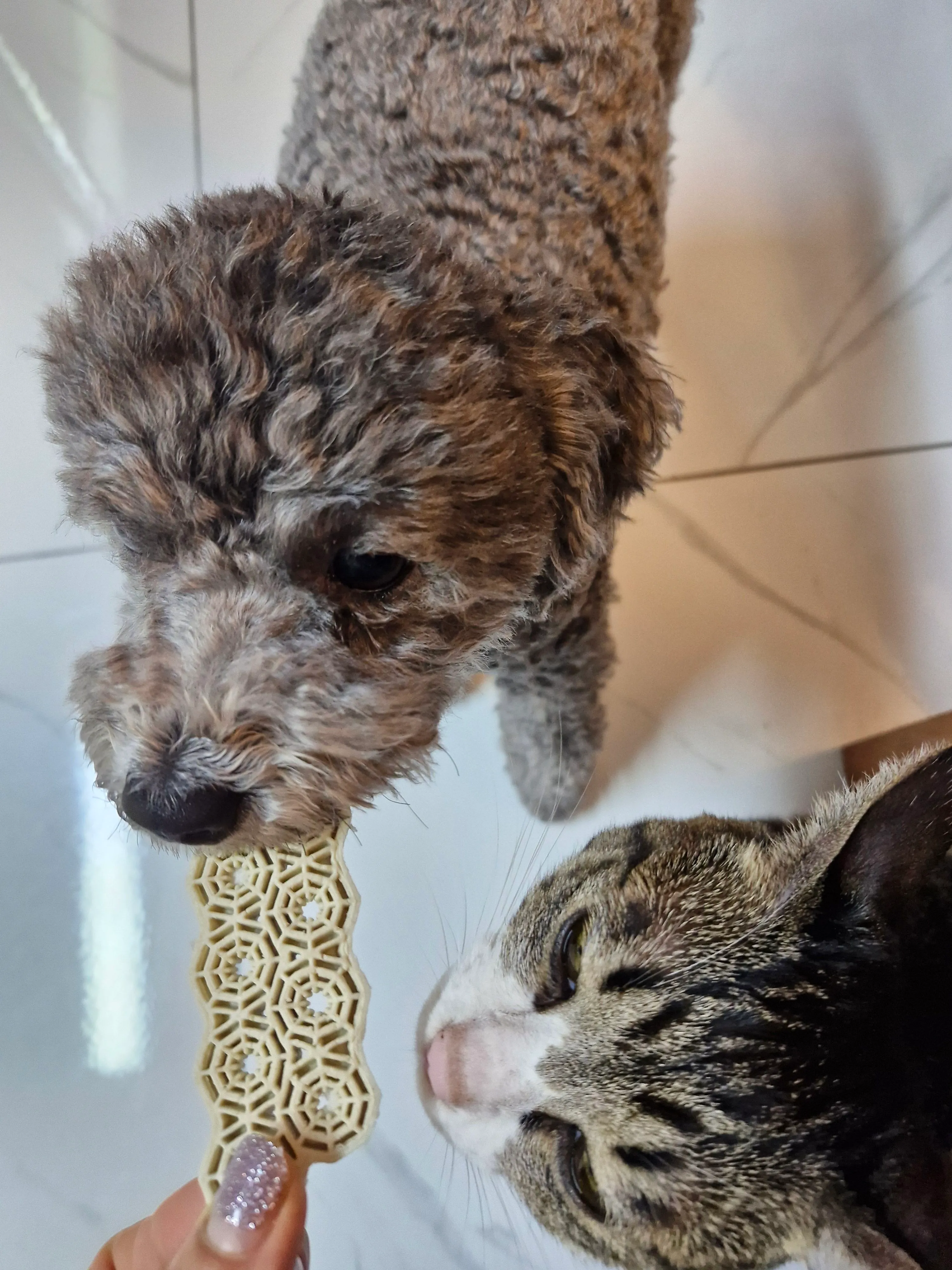 베스트 후기 이미지