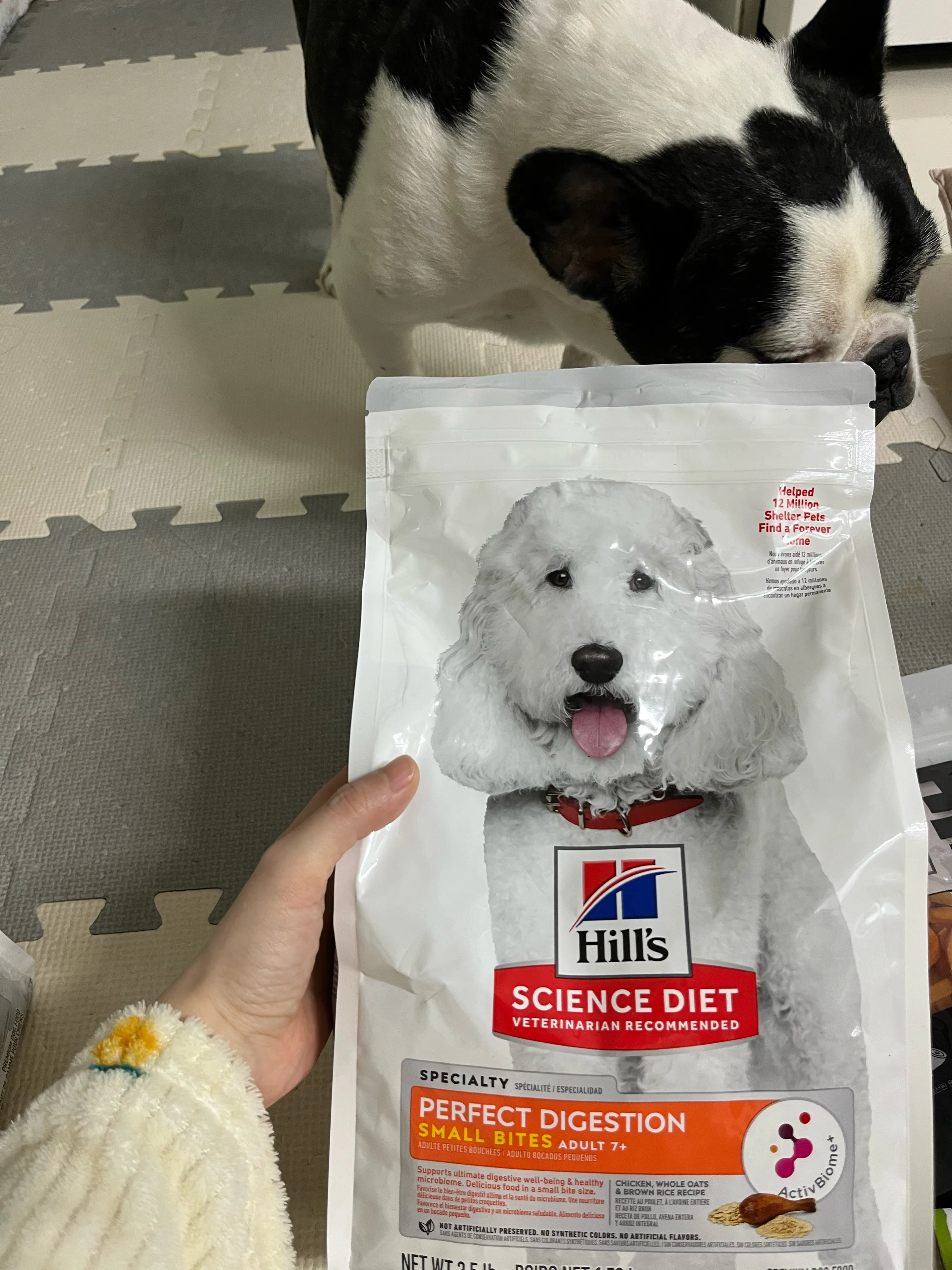 베스트 후기 이미지