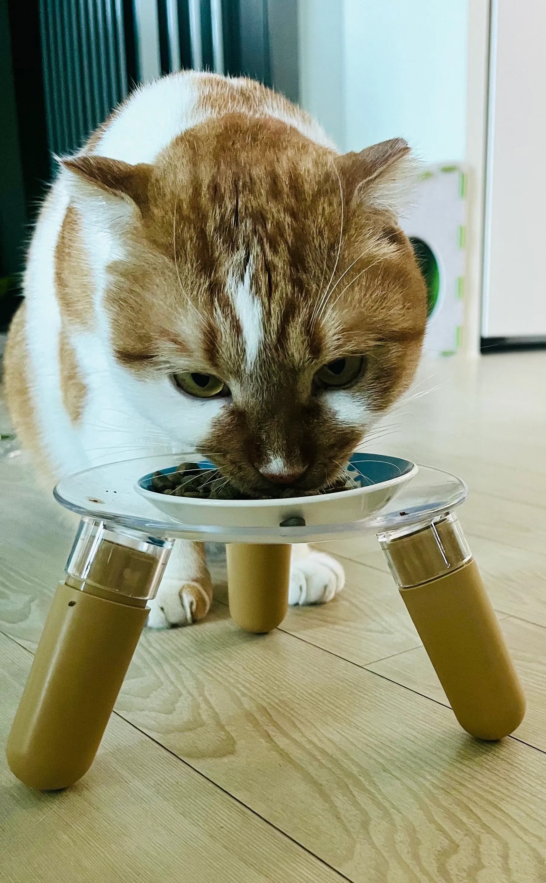 베스트 후기 이미지