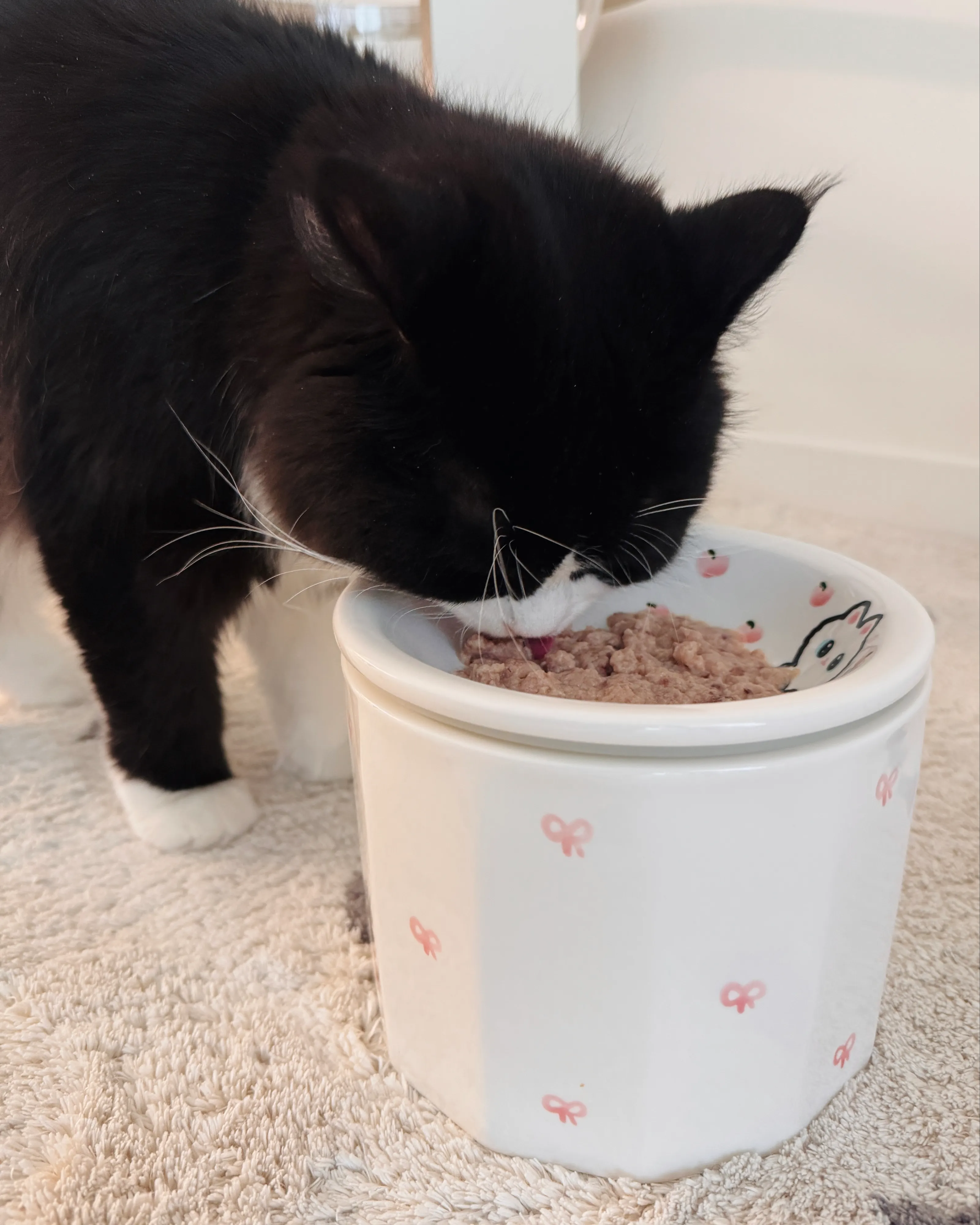 베스트 후기 이미지