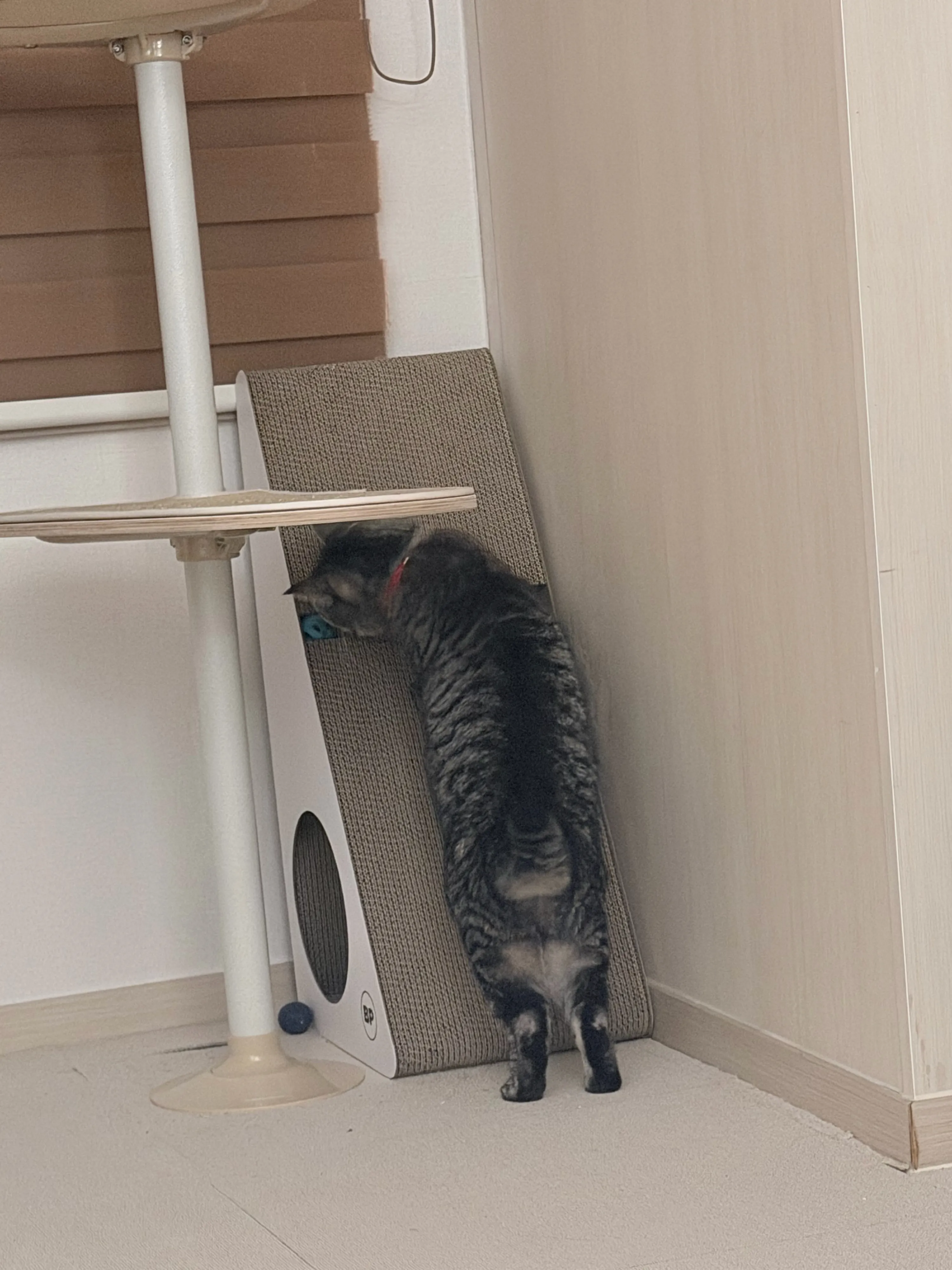 베스트 후기 이미지