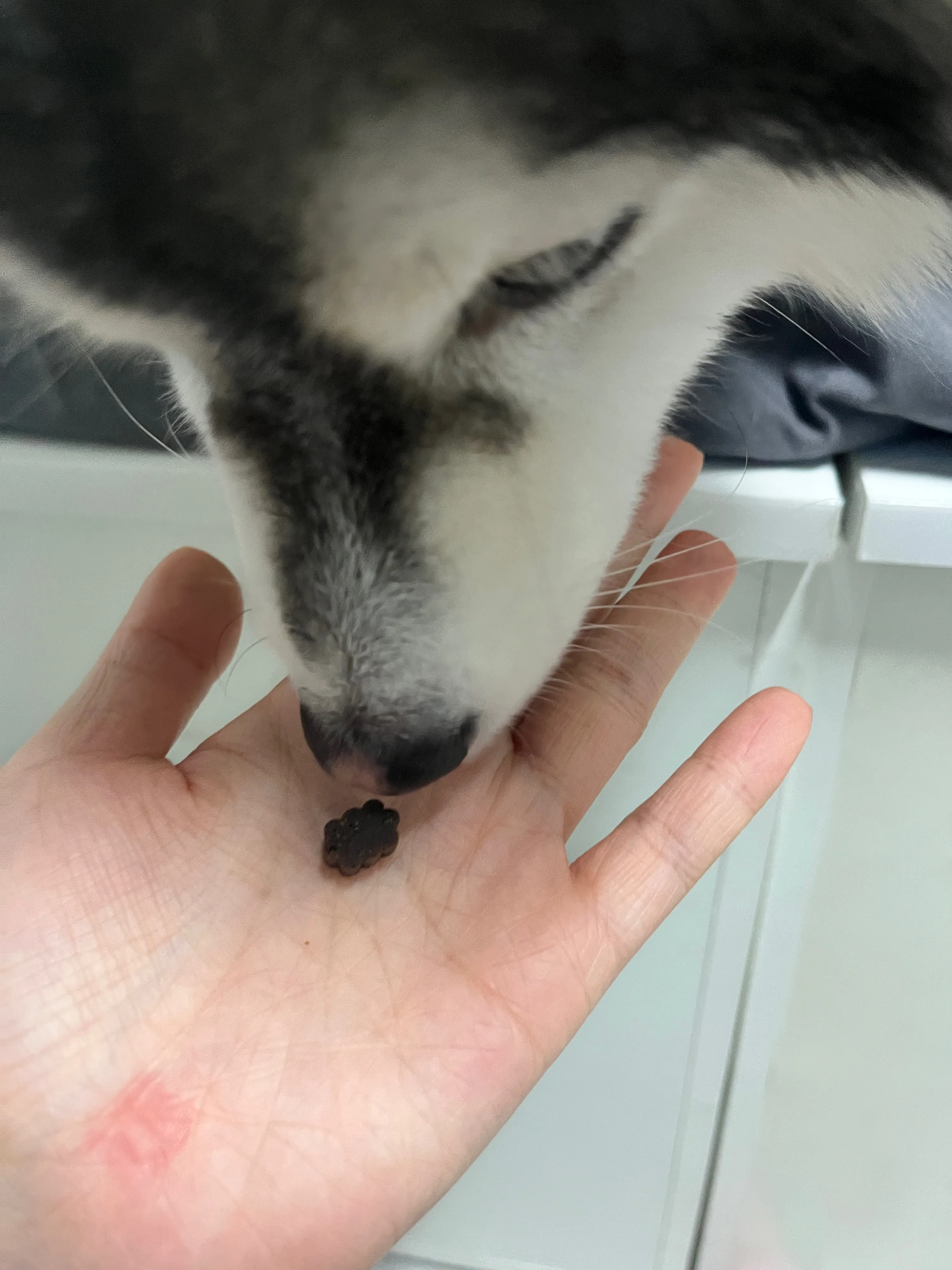 베스트 후기 이미지