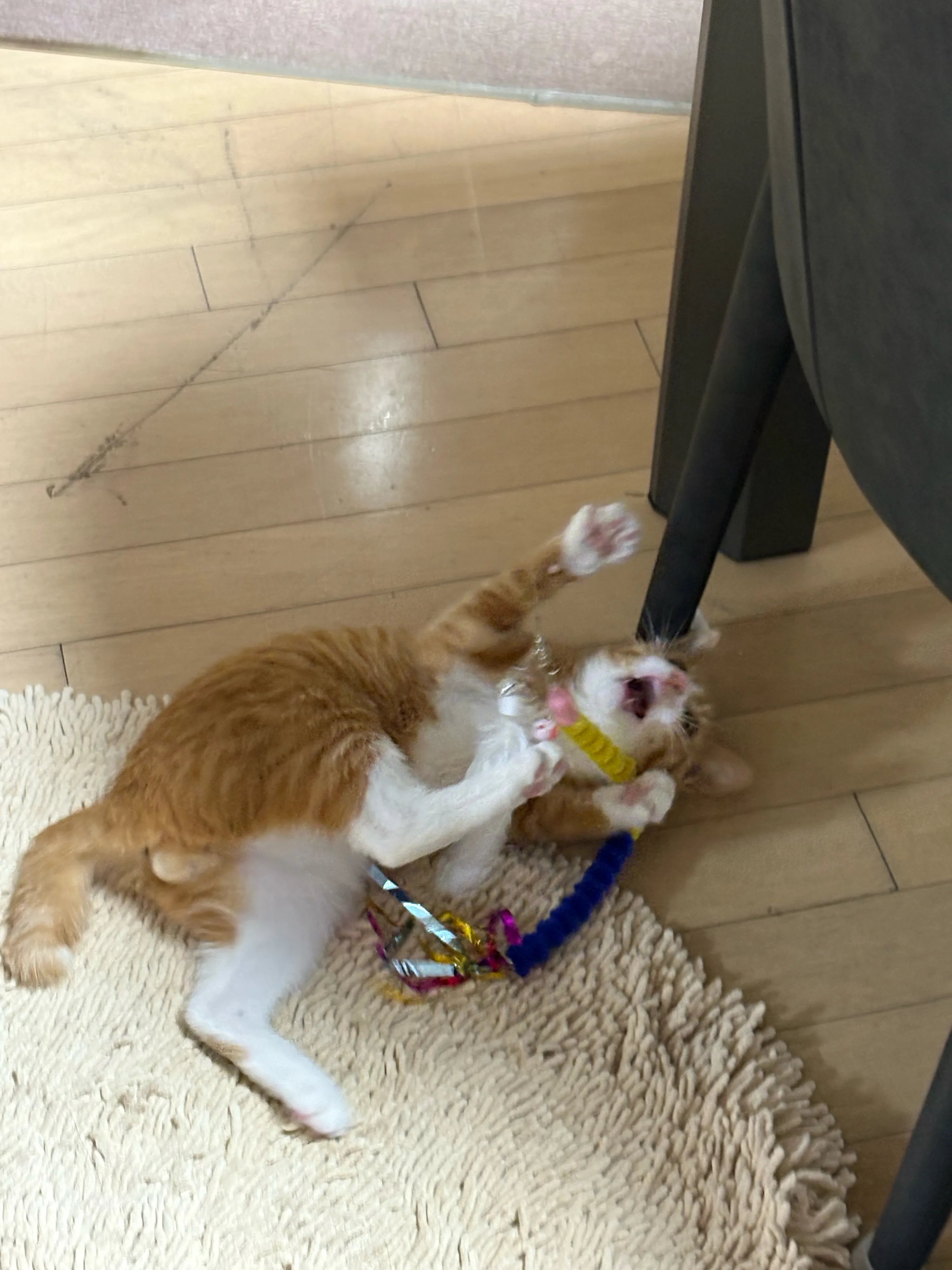 베스트 후기 이미지