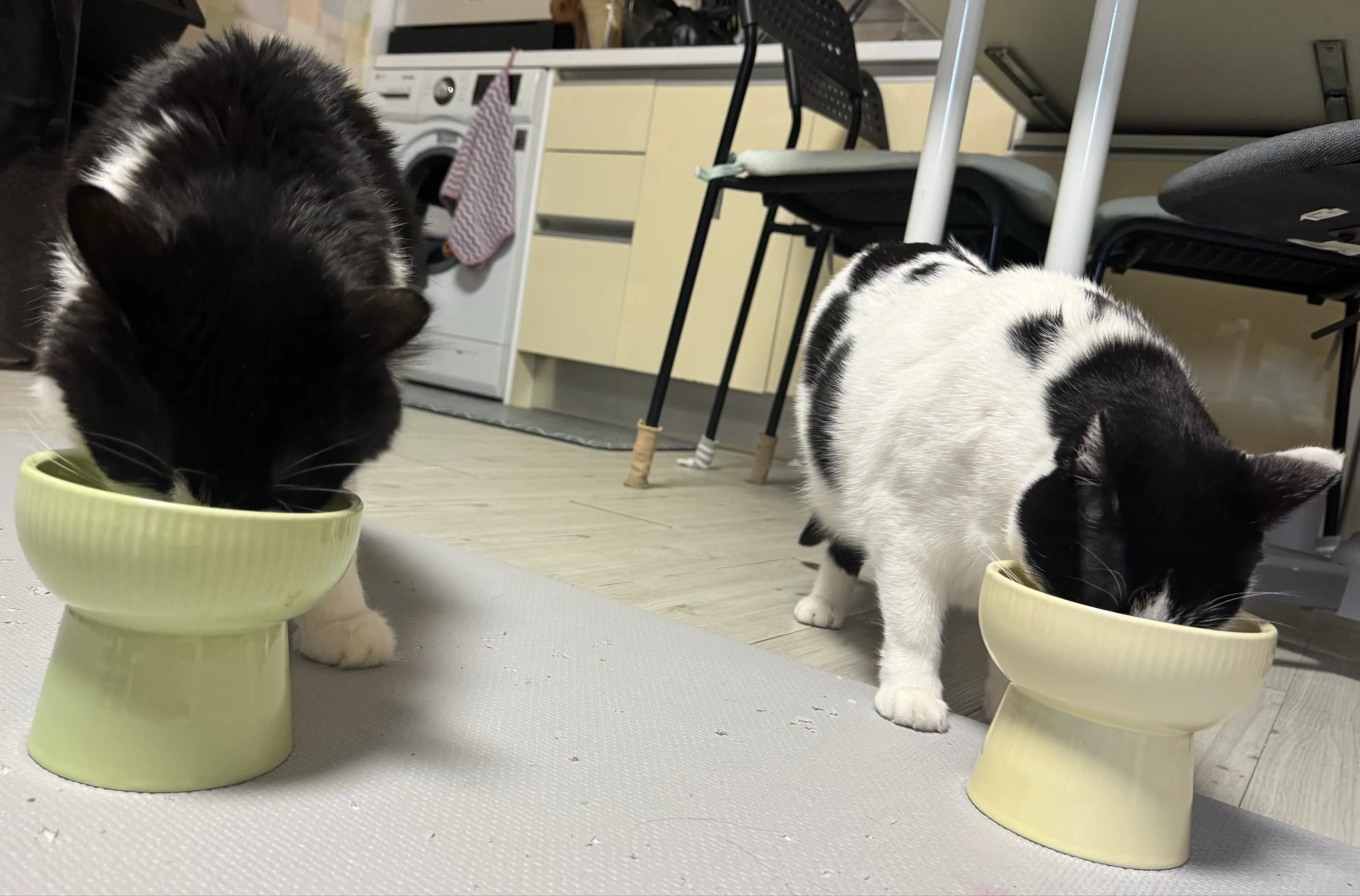 베스트 후기 이미지