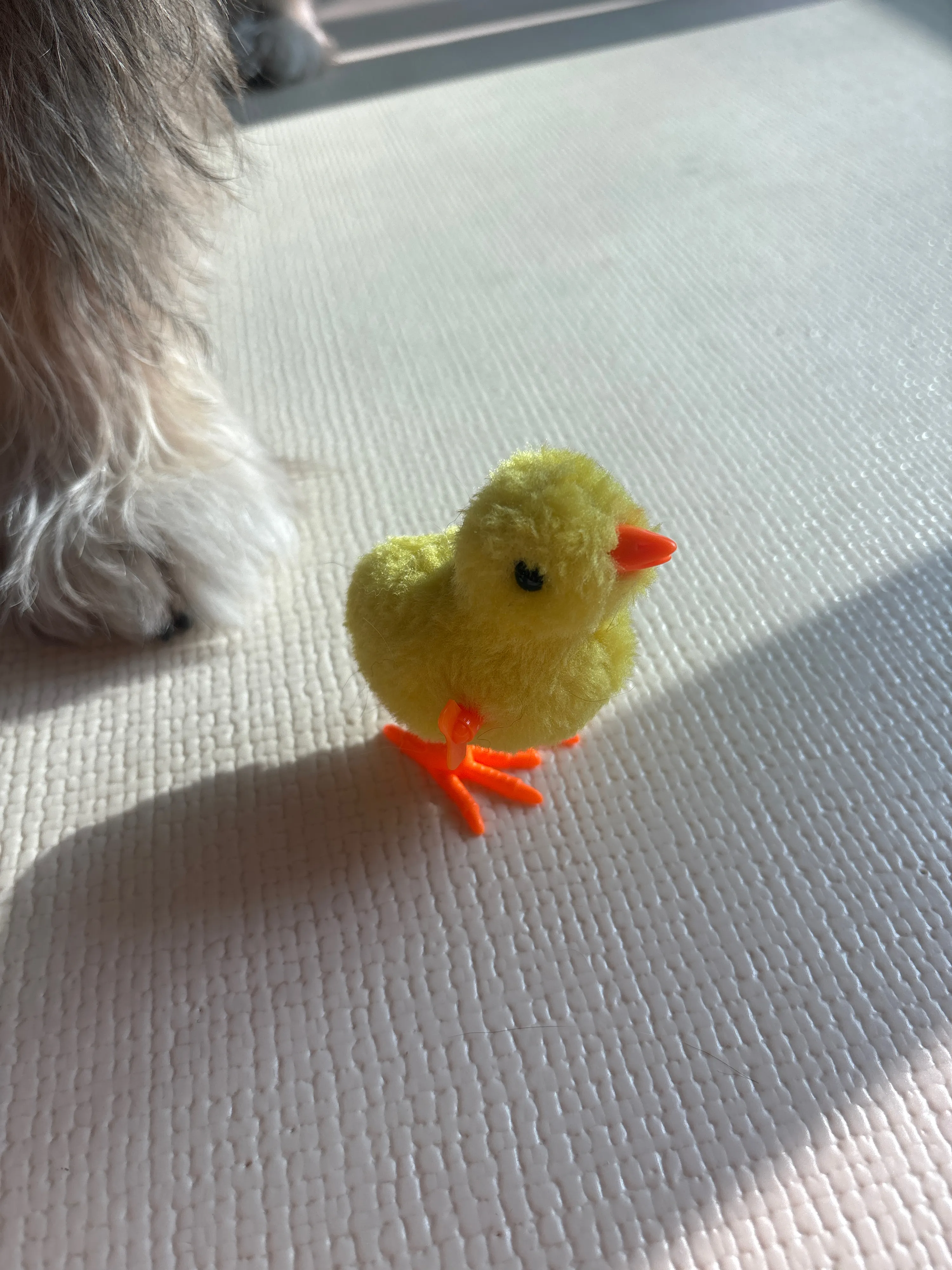 베스트 후기 이미지